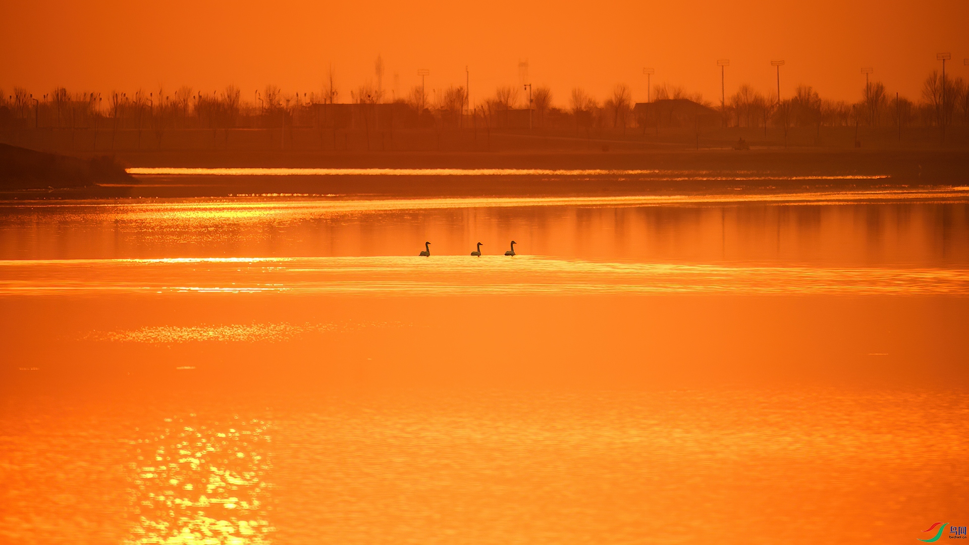 DSC_5012-20250717�ü�.jpg
