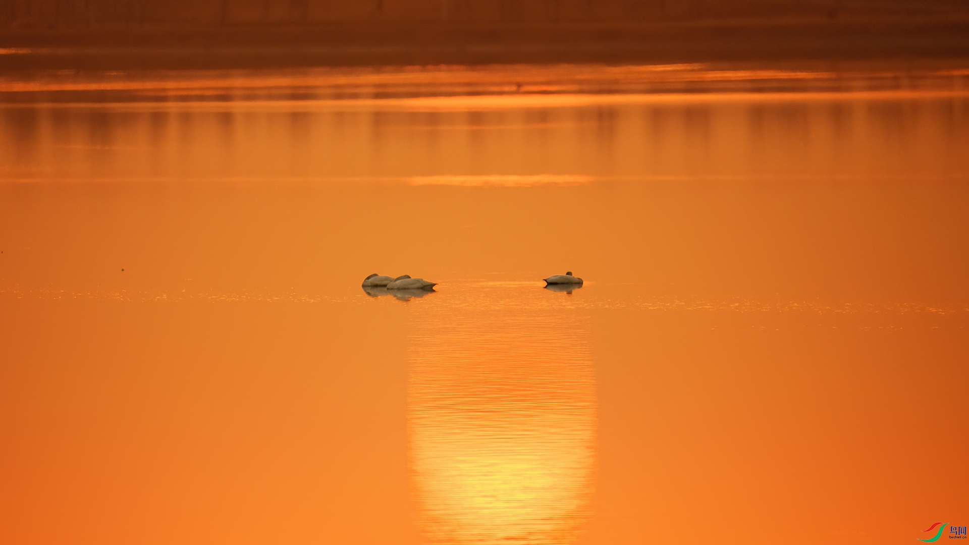 DSC_4816-20250717�ü�.jpg