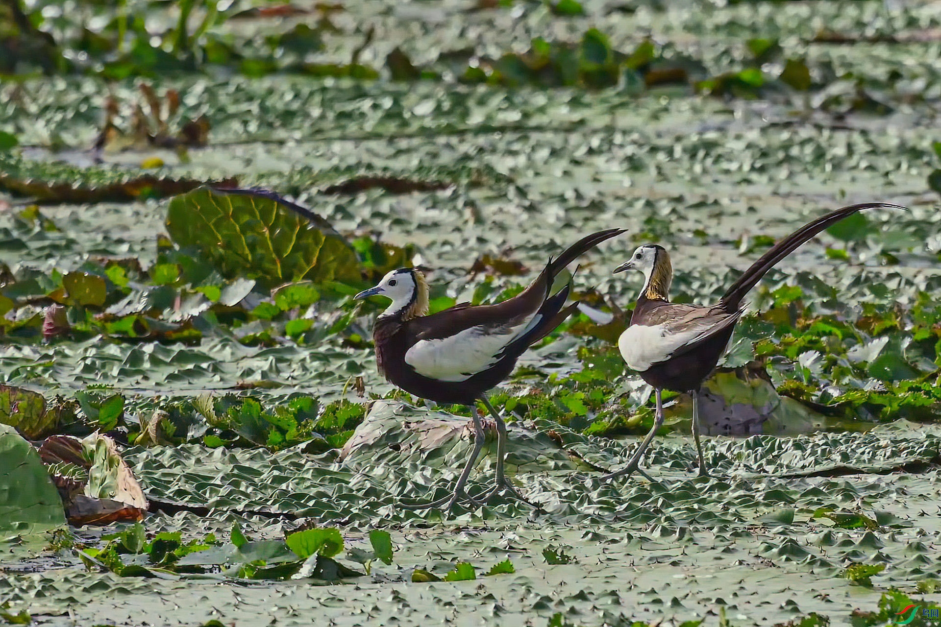 DSC_5546.jpg