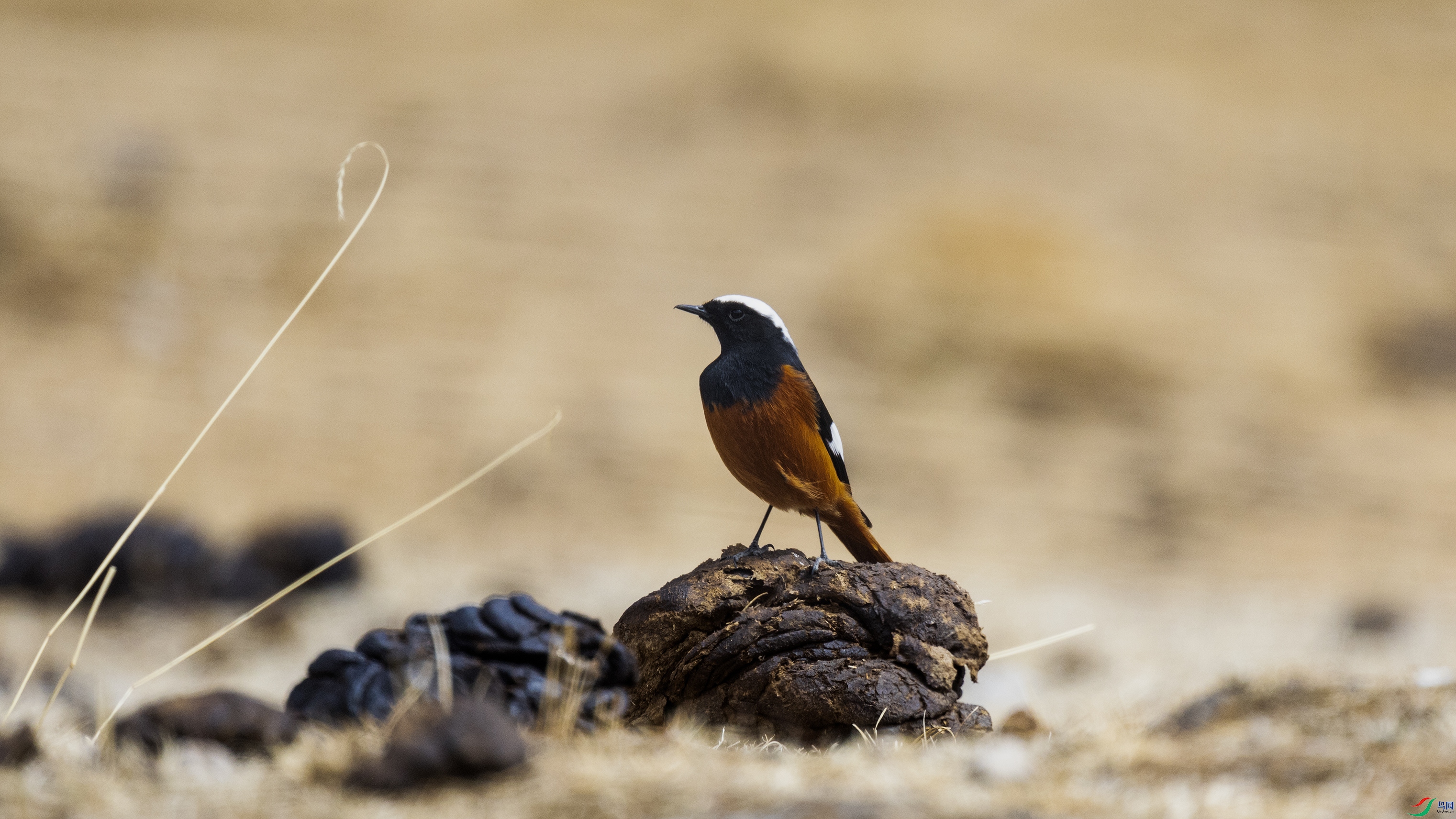 7X5A4593 ����4444.jpg