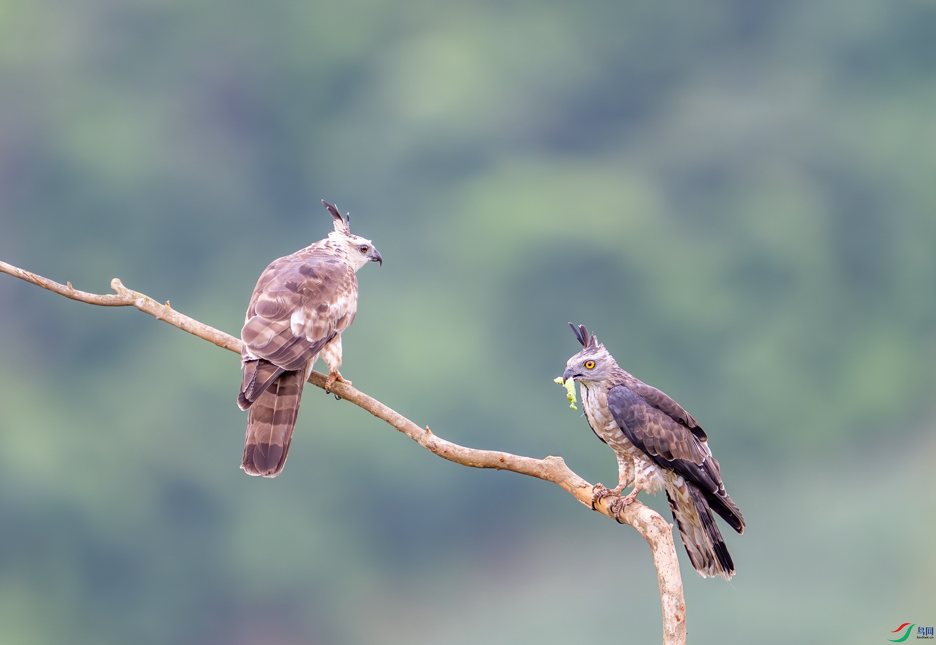 DSC_2727_1.jpg