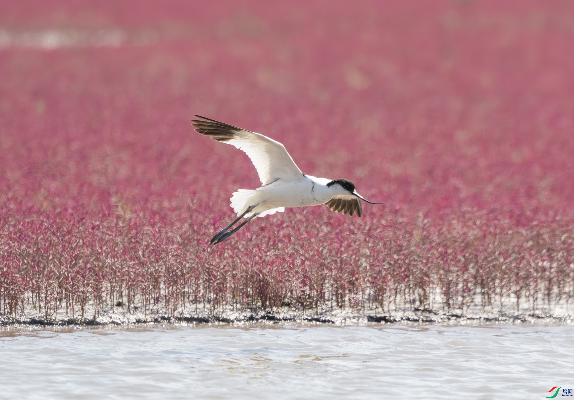 DSC09759-����ǿ-NR ����.jpg