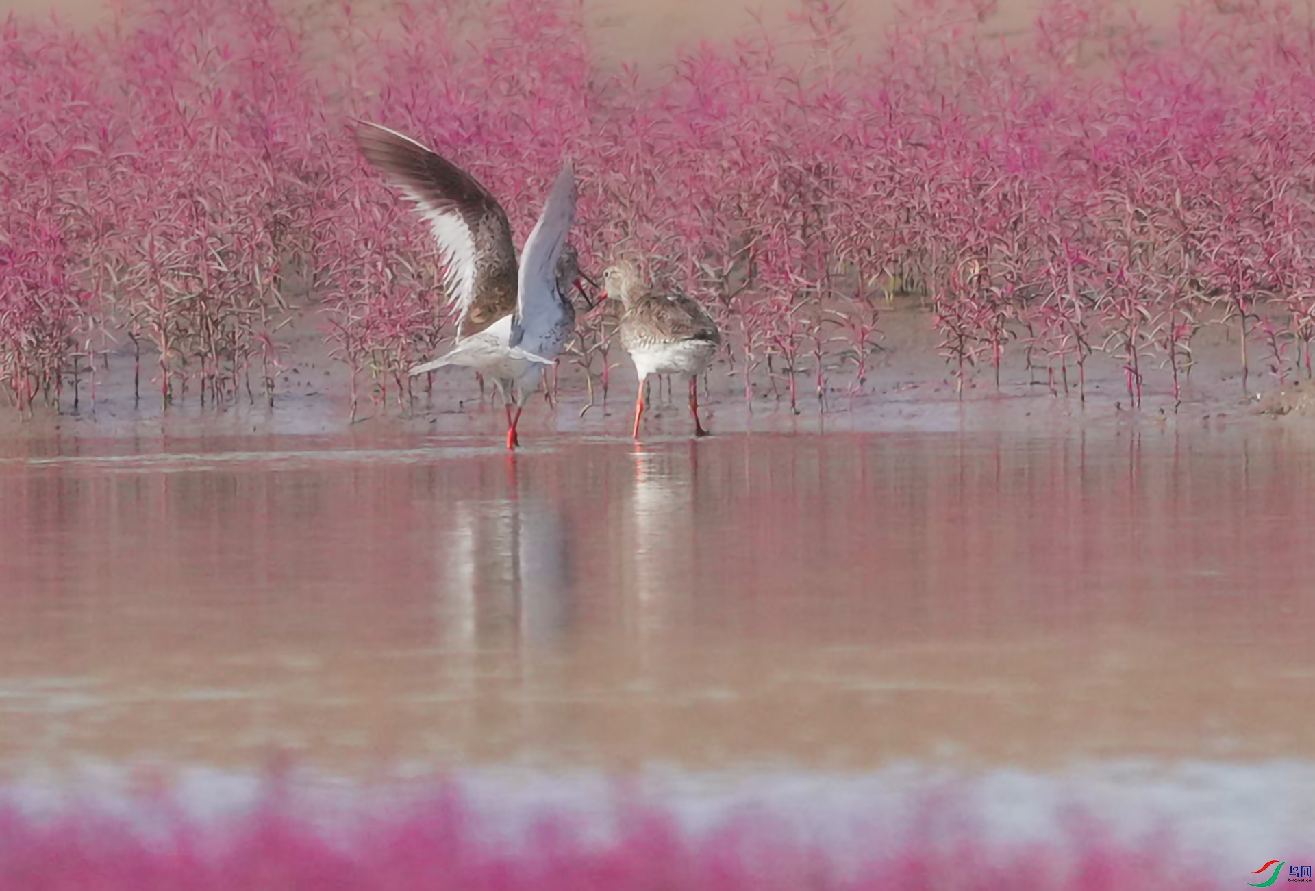 DSC00740 ����.jpg