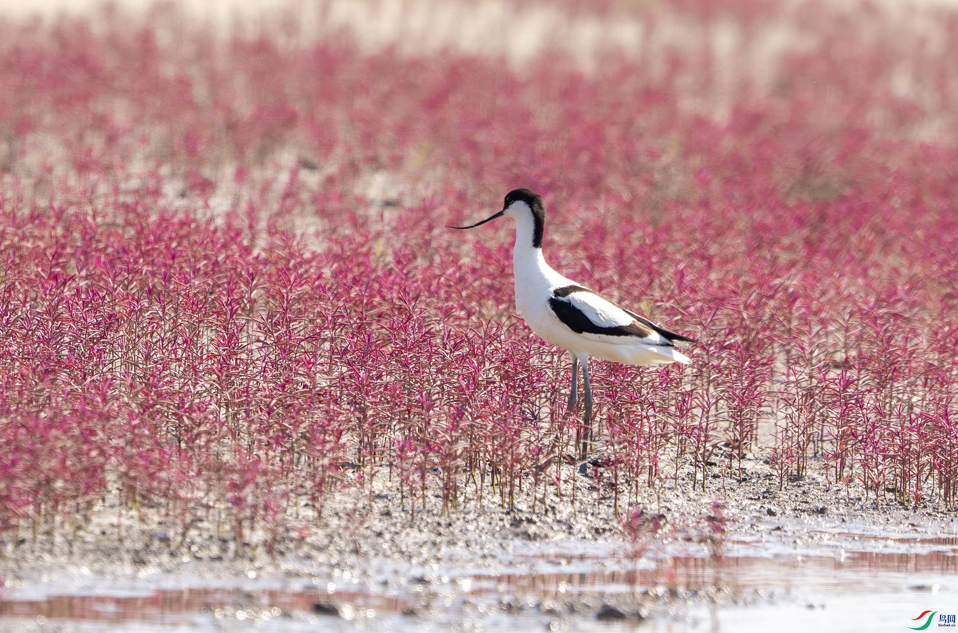 DSC00007-����ǿ-NR ���� 2.jpg