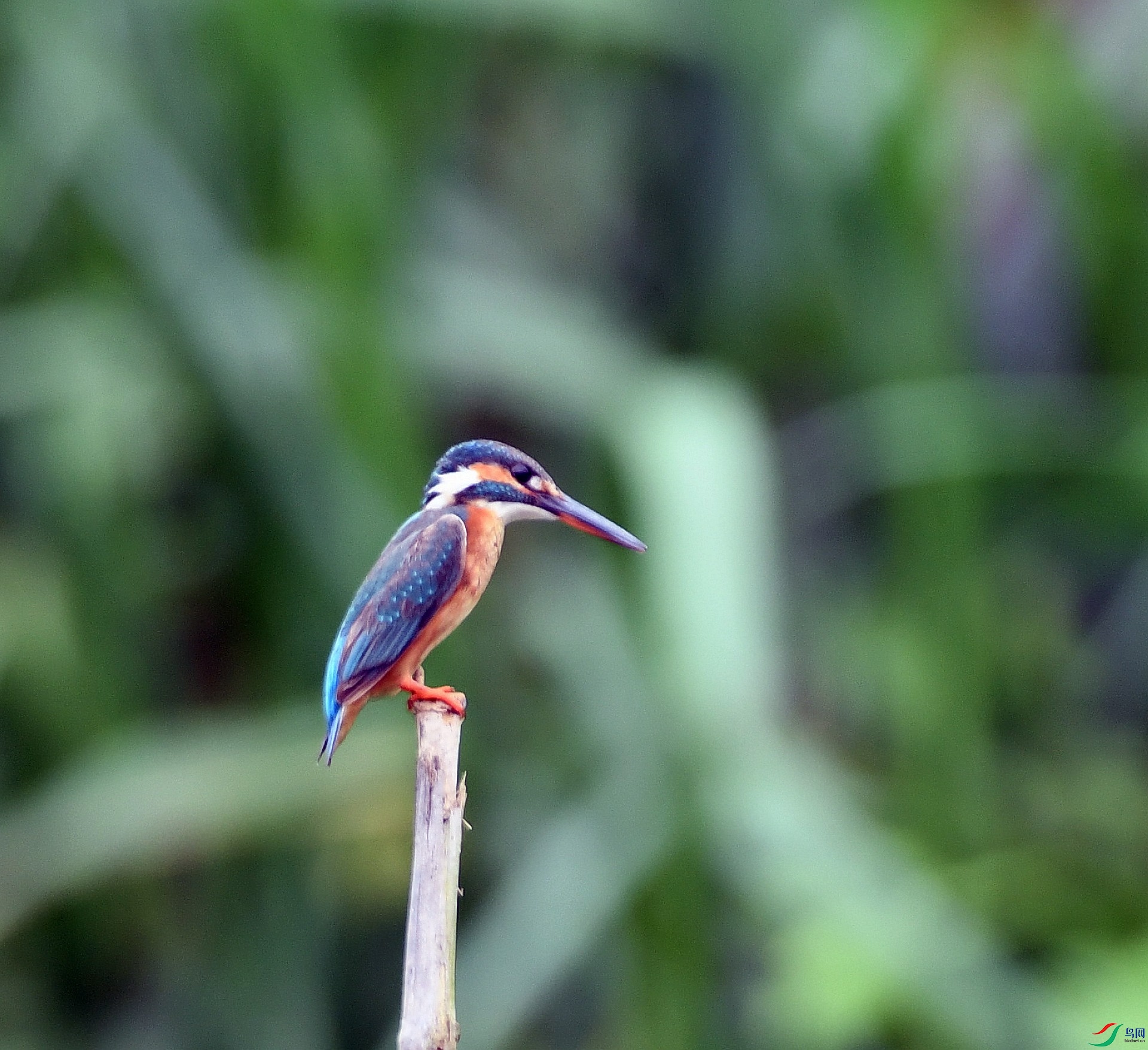 DSC_4599.jpg