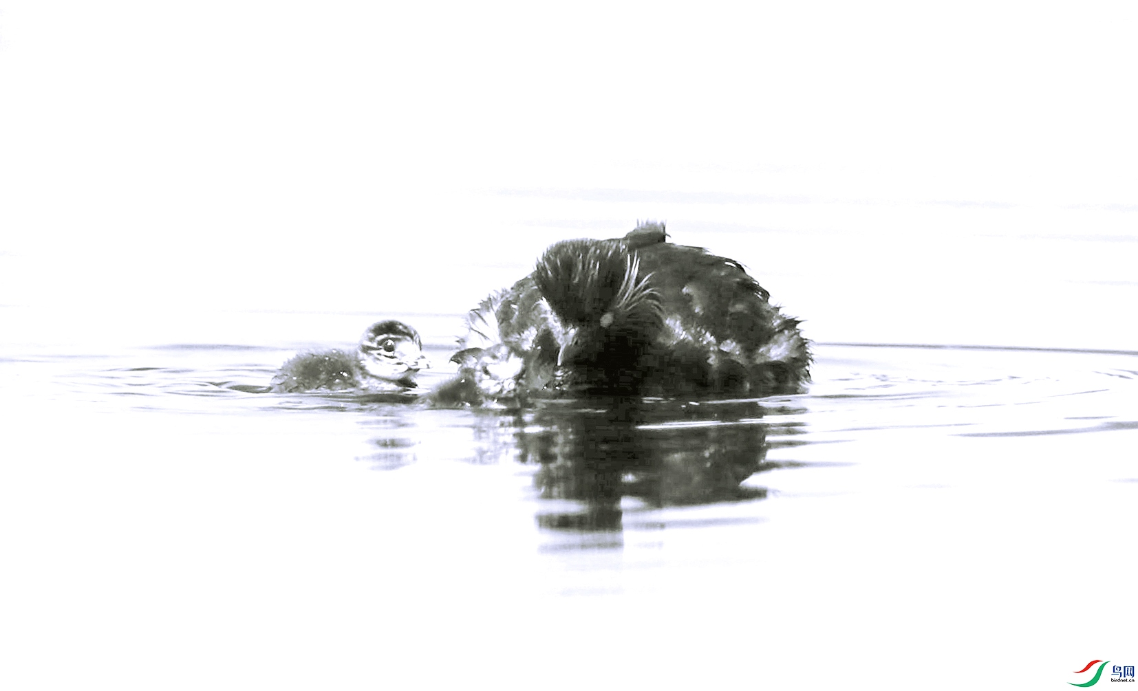 AG1I5132_����_����.jpg