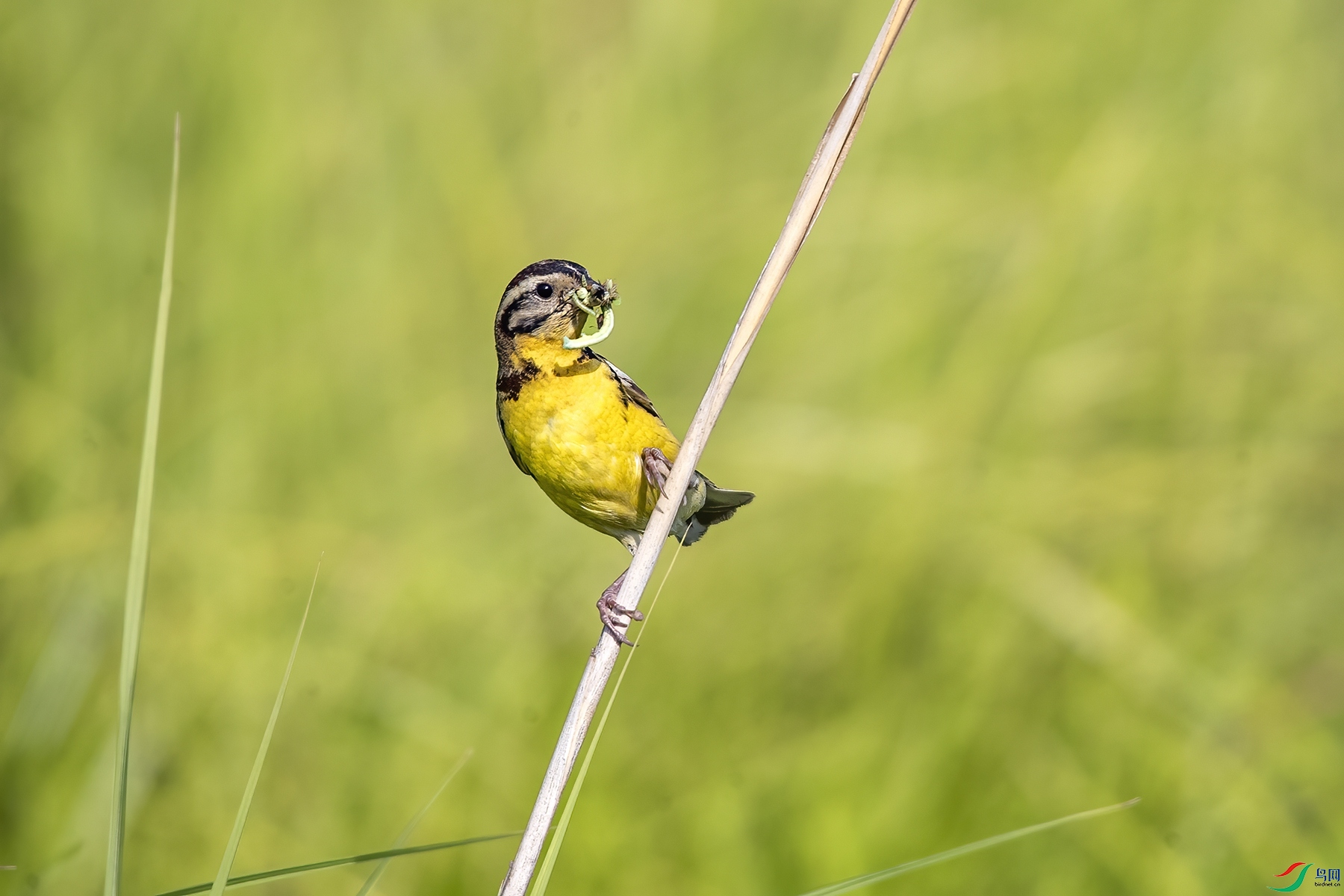 AW4I6512 ����_����.jpg