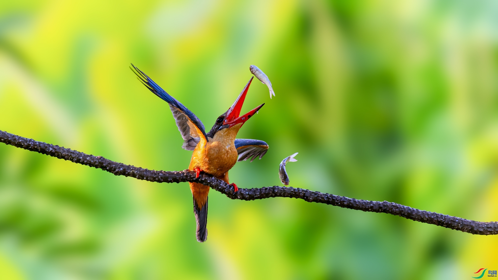 7.9������ʦ��Ʒ  �˴�ʧ�ˣ�ף���ٻ���Ӱʦ������ .jpg