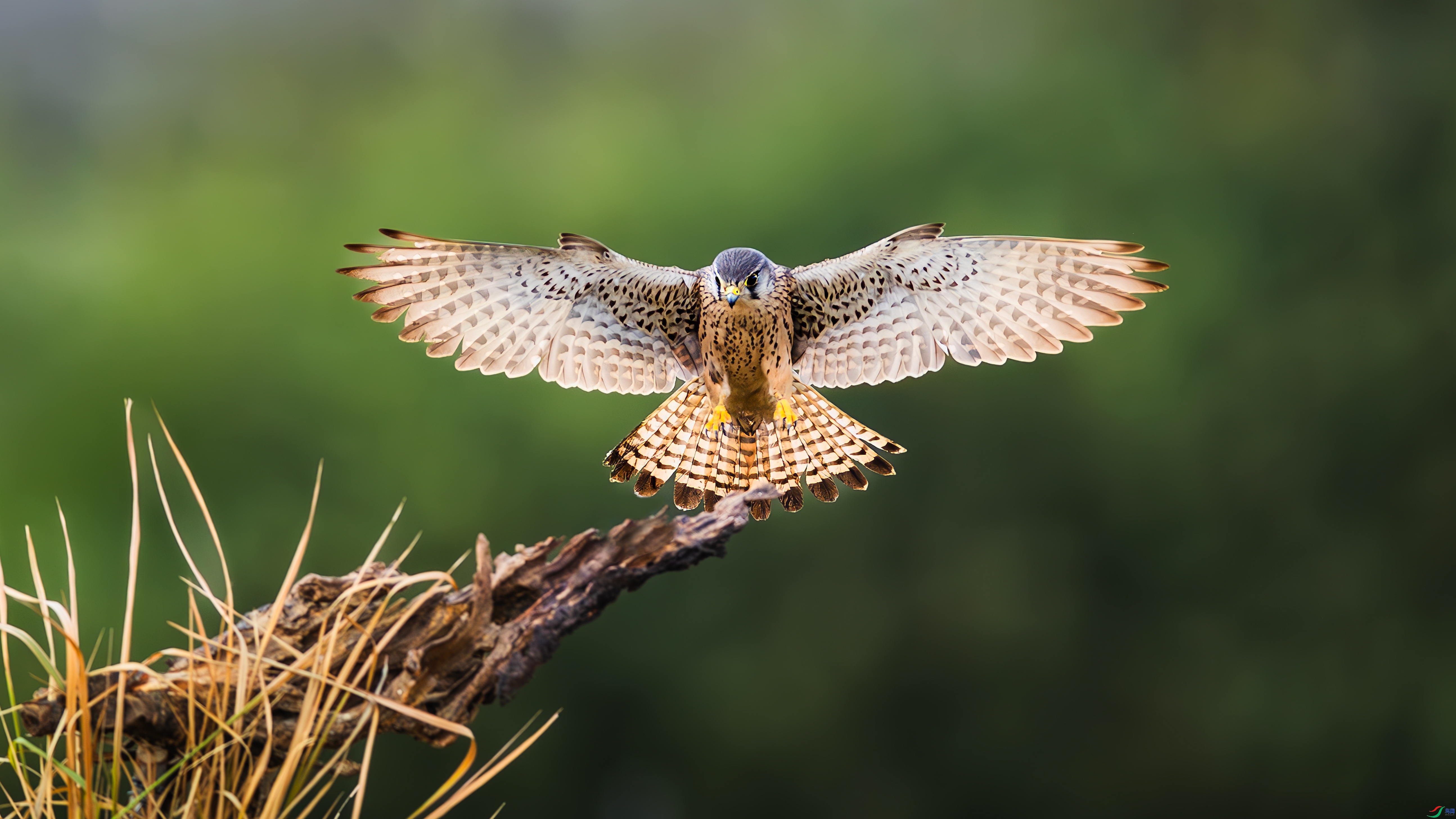 7.10С������ʦ��Ʒ   Ъһ�� ��ף���ٻ����������.jpg