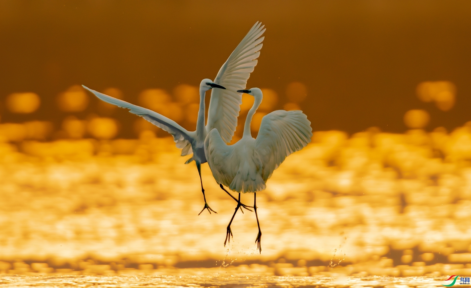 7.12������ʦ��Ʒ   ������ף���ٻ���Ӱʦ������.jpg