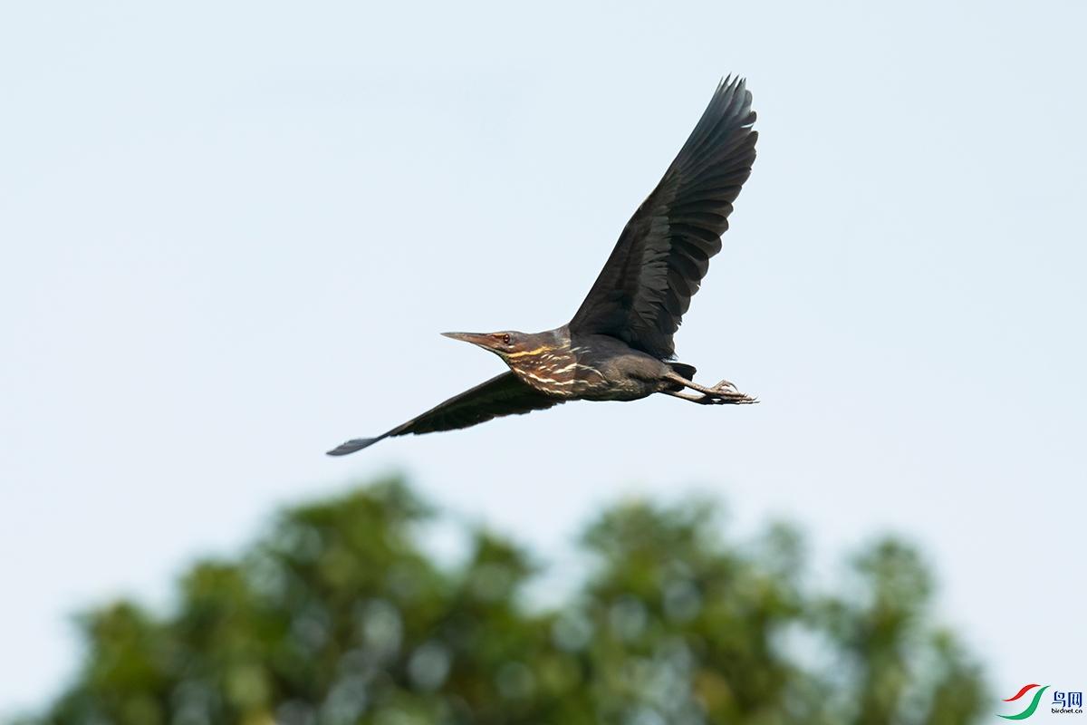 _DSC7565-1 ����1200.jpg