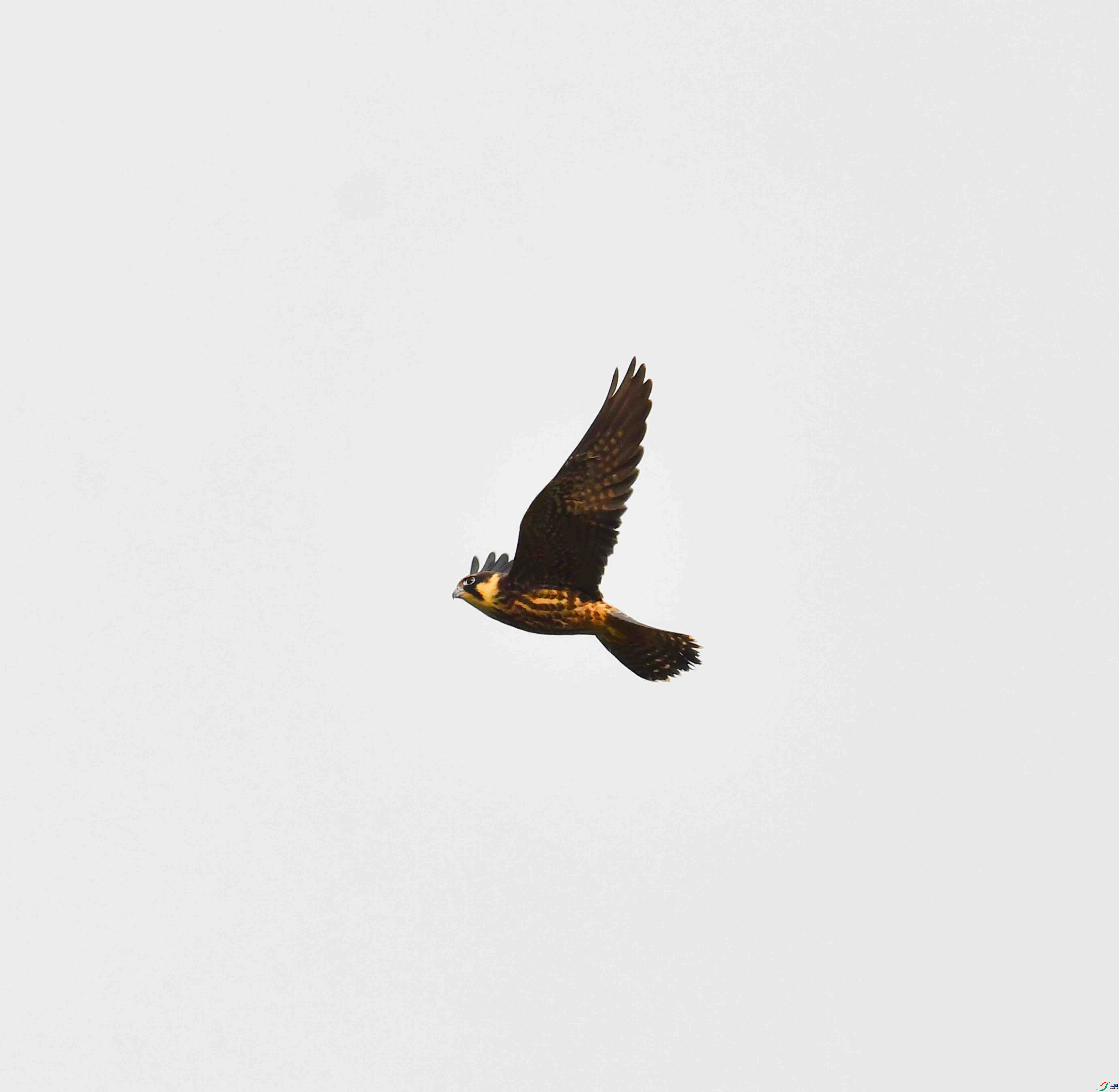 DSC_5090.JPG