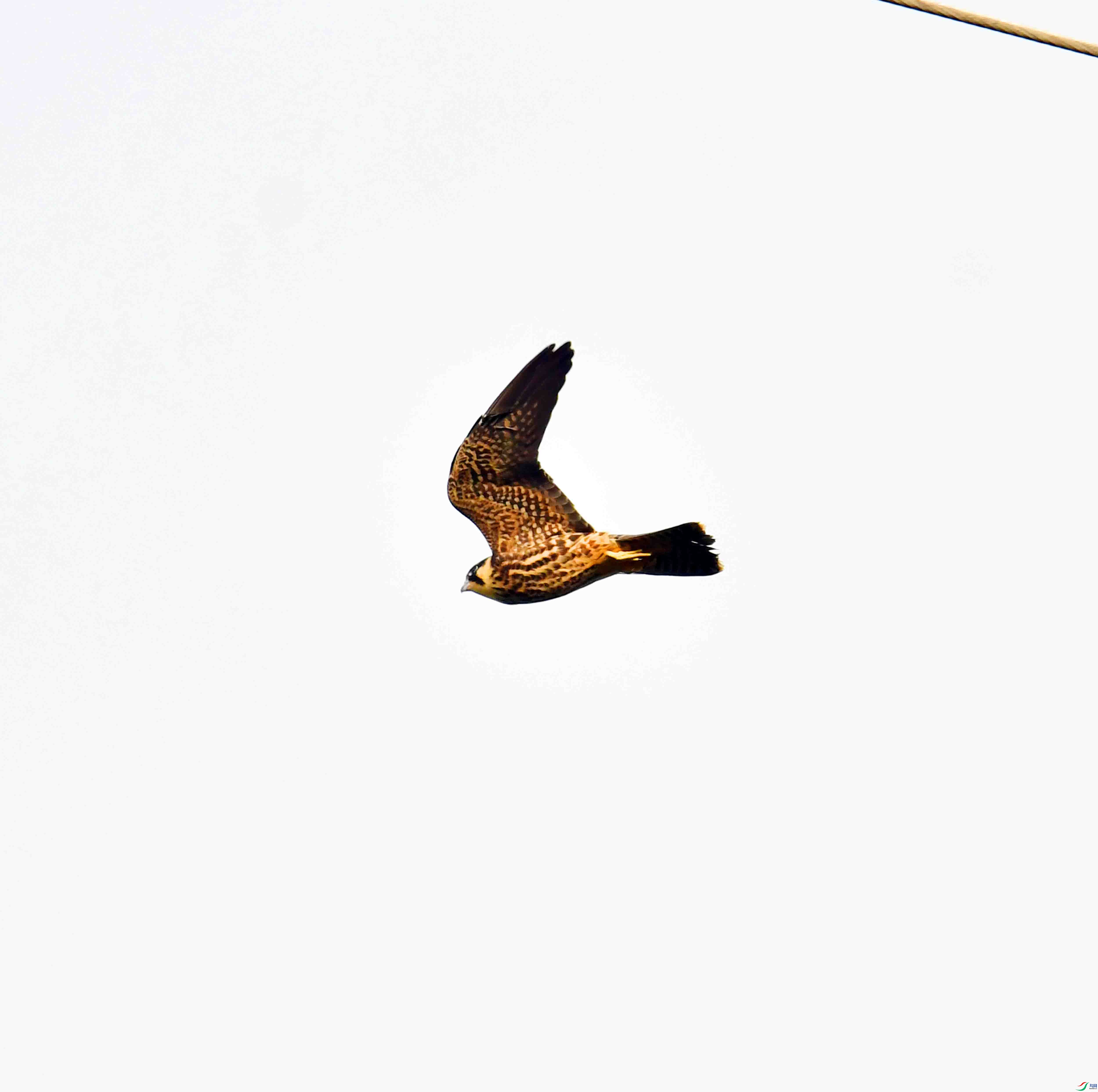 DSC_5095.JPG