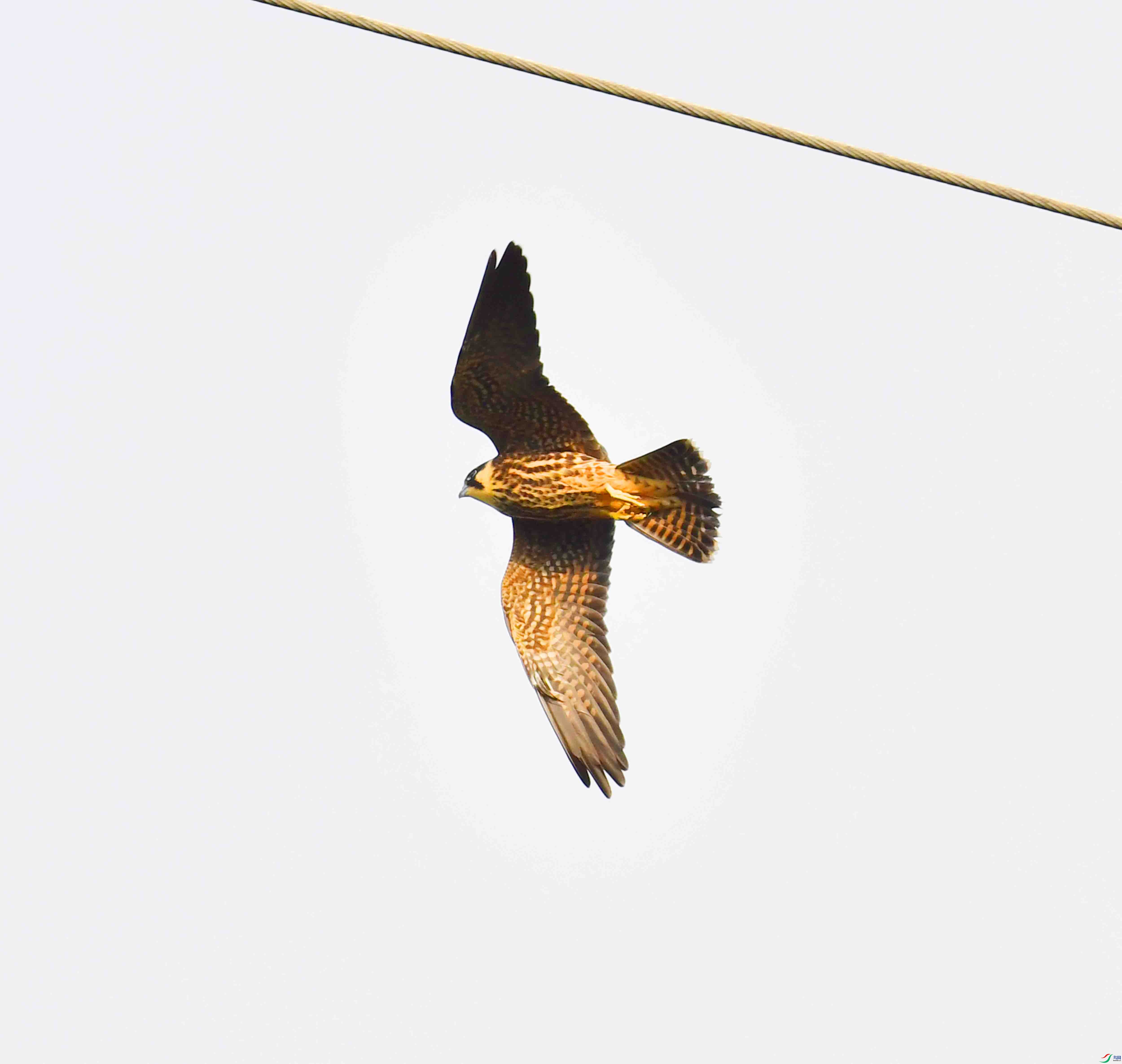 DSC_5094.JPG