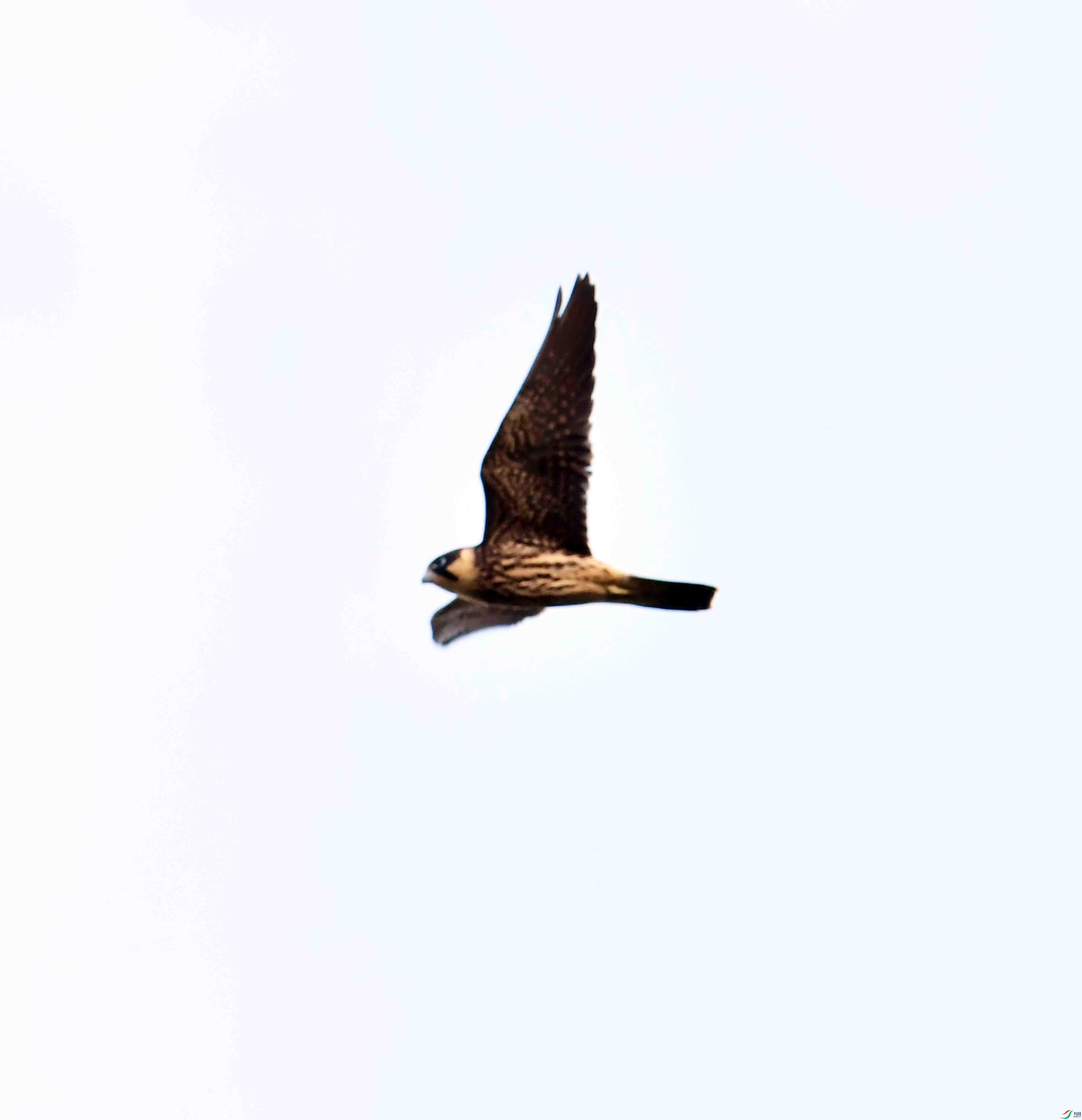 DSC_5117.JPG