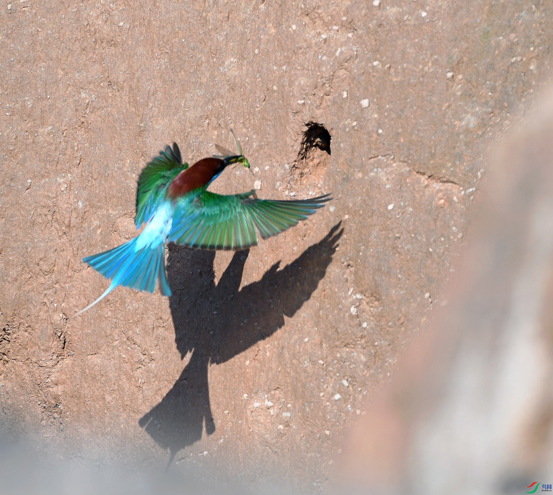 DSC_5542.jpg