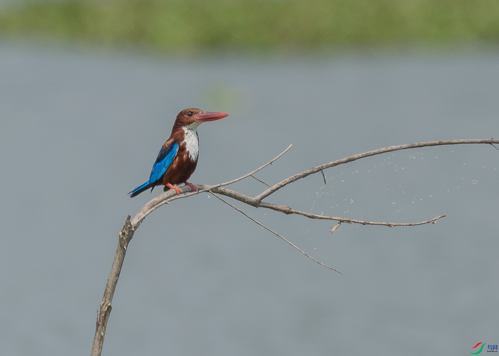 _DSC9799.jpg