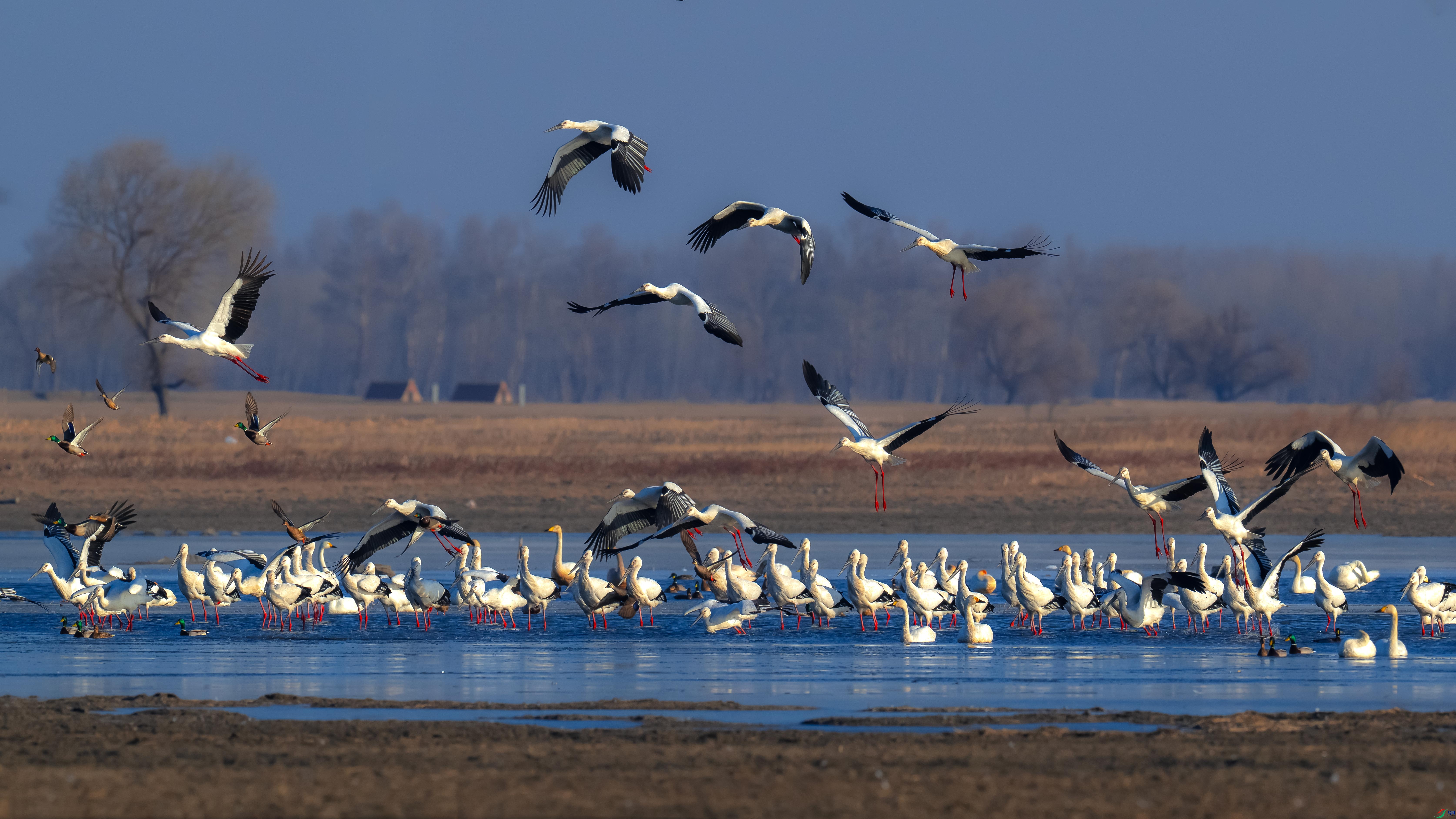 DSC_7513.jpg
