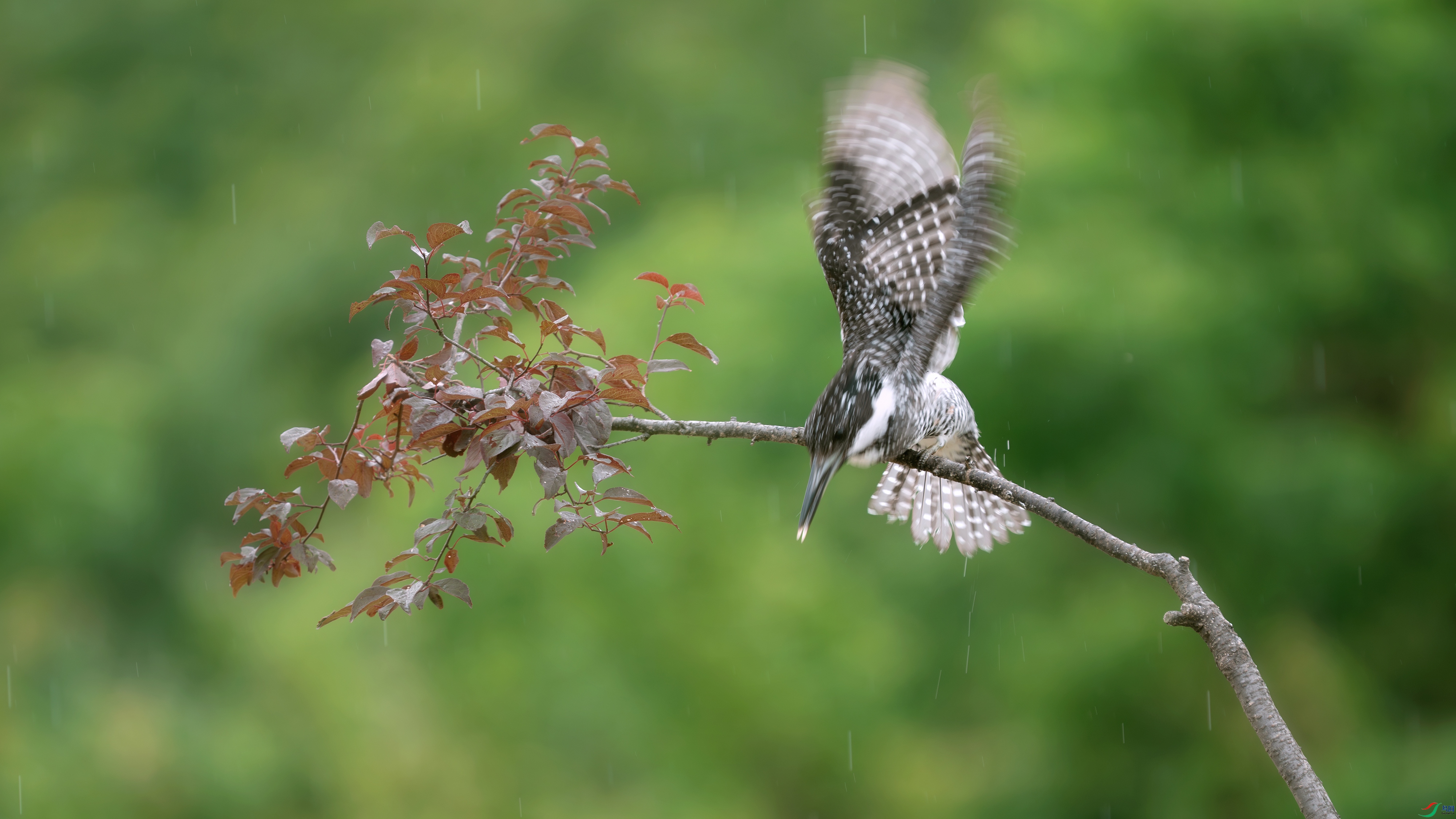 _DSC7572 ����.jpg