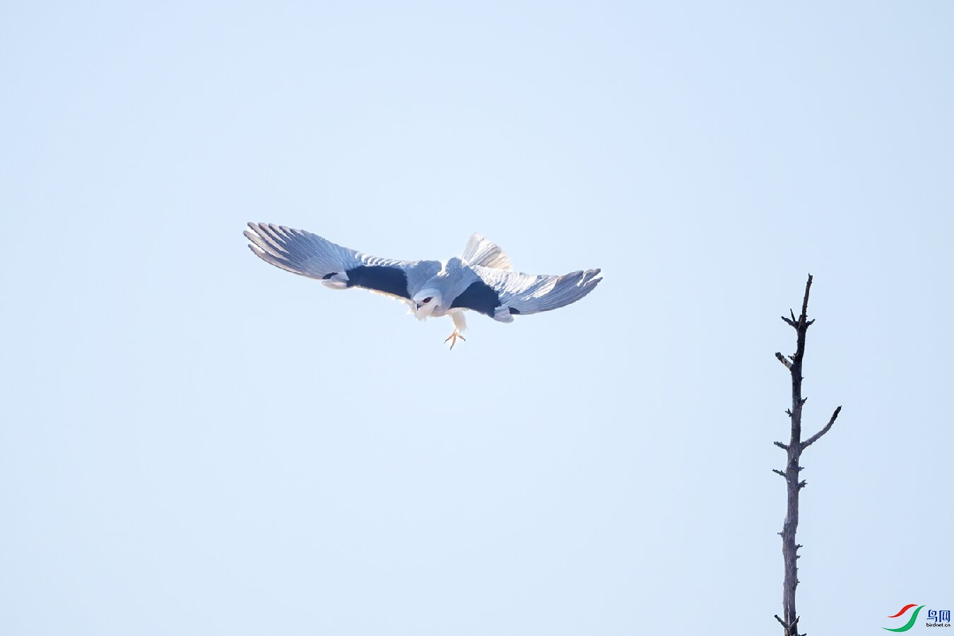 _DSC8468-����ǿ-NR ����.jpg