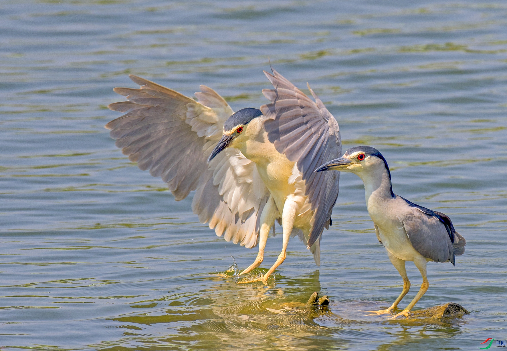 DSC_5002.jpg