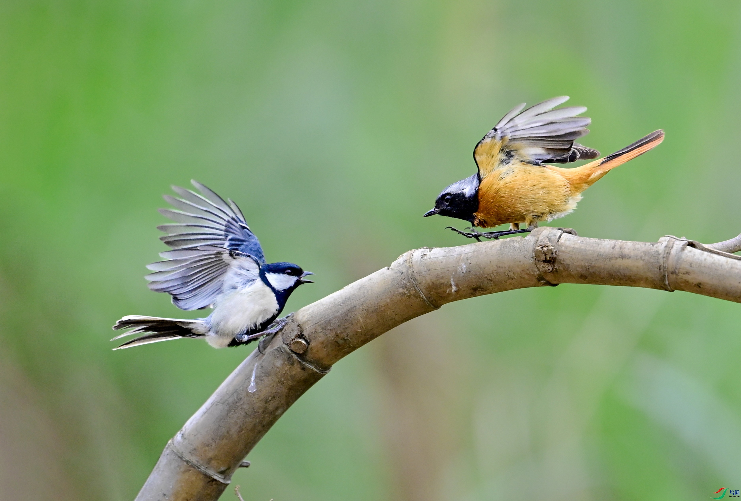 _DSC6083 ����3x.jpg