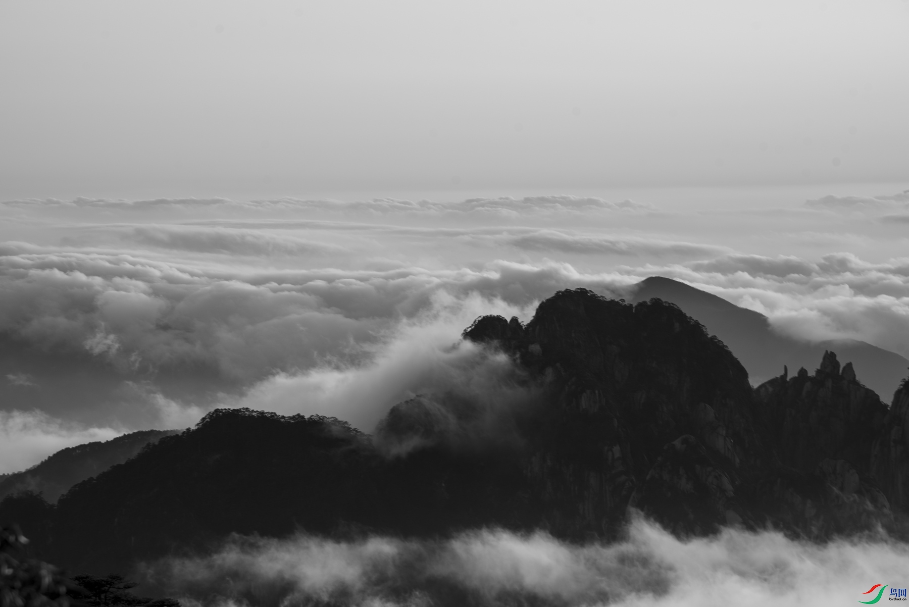 DSC_6260 ����_����_����.jpg