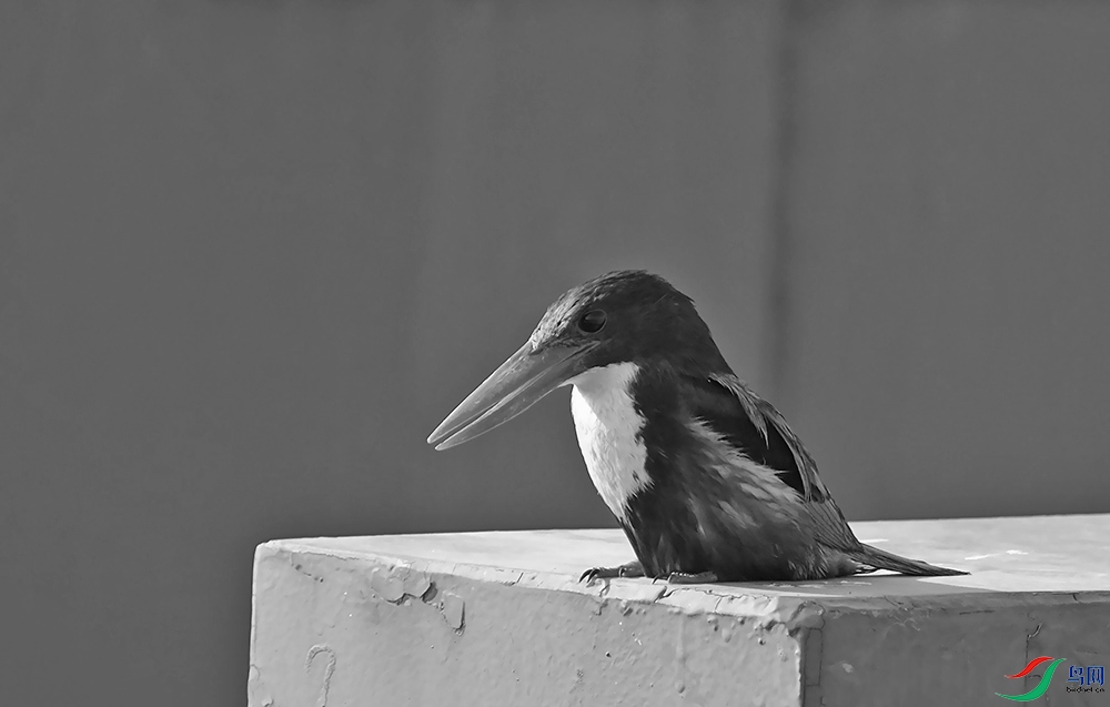 DSCF7253.1.jpg