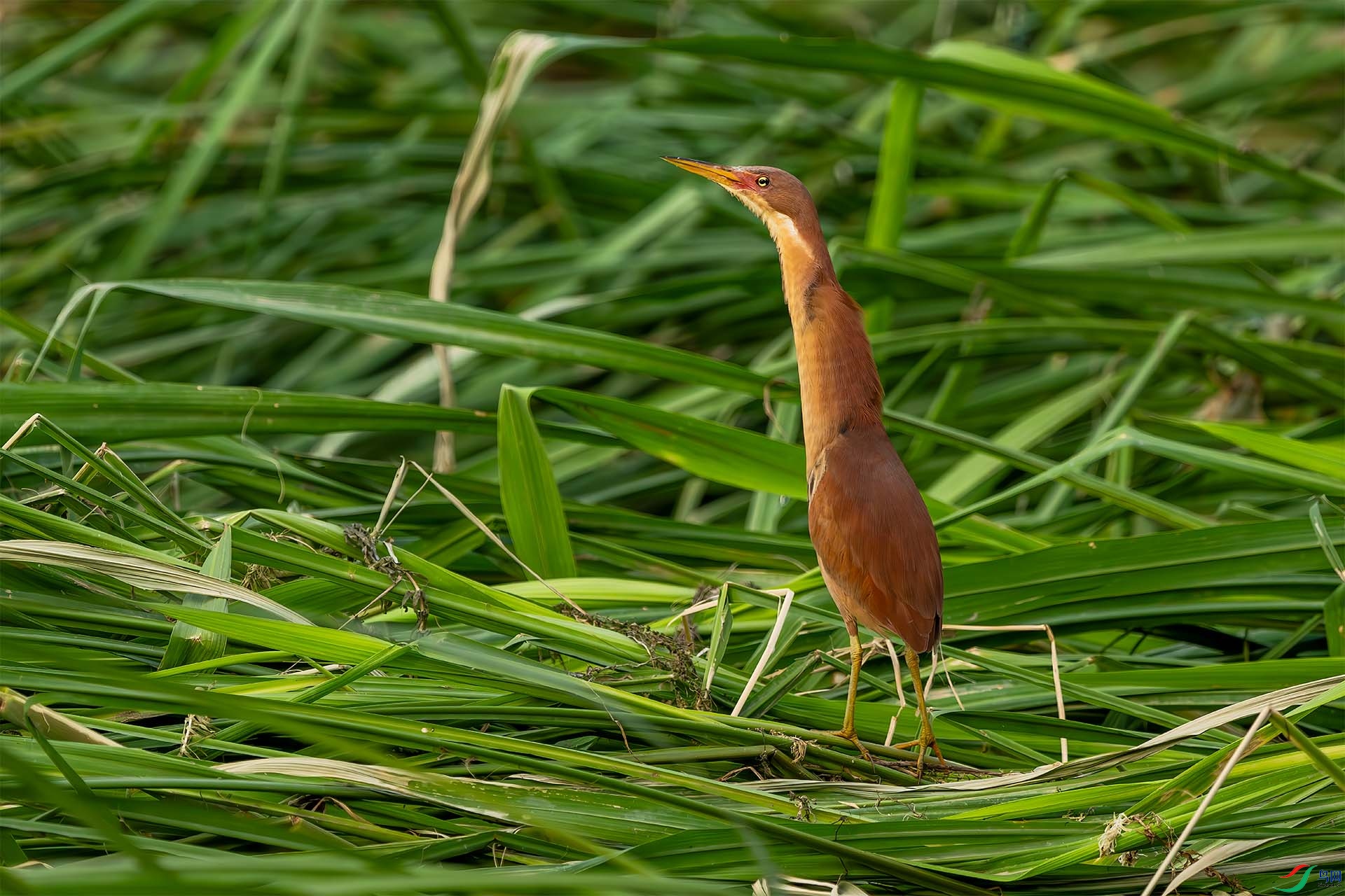 _DSC3074-.jpg