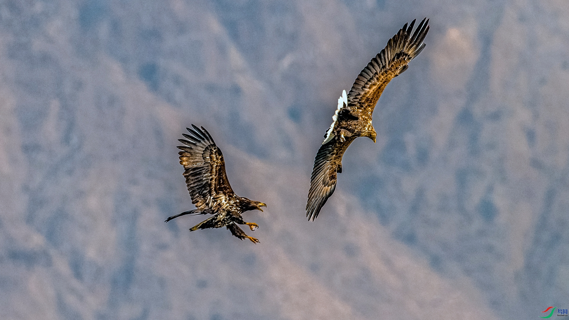 _DSC2220 ����_����.jpg