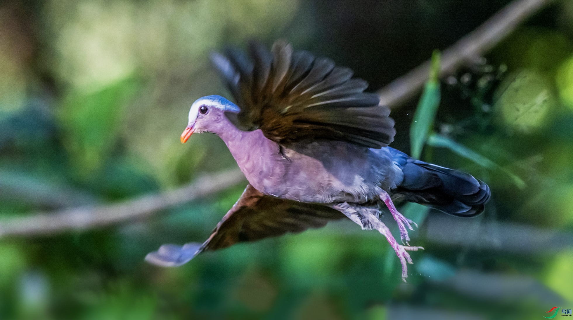 �̳���054 ����.jpg