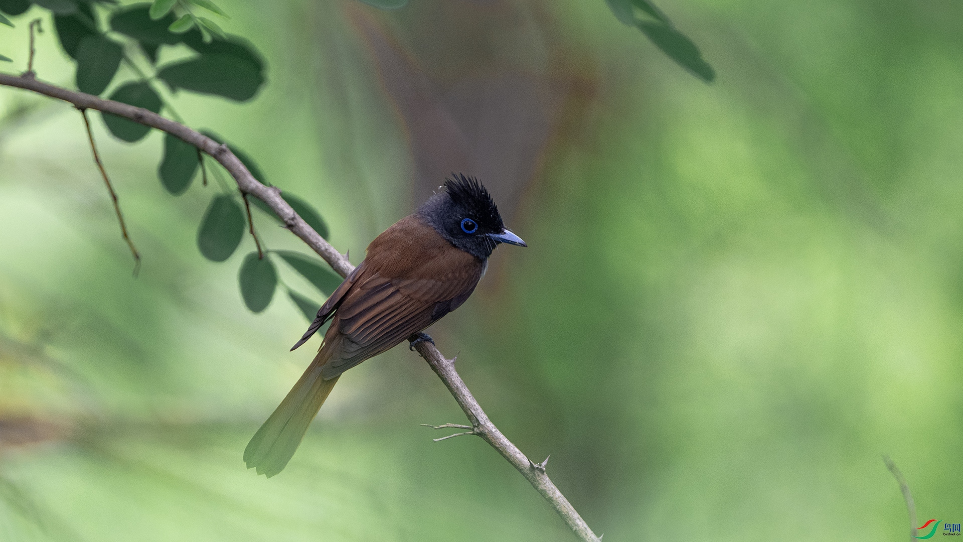 DSC_0341 .jpg