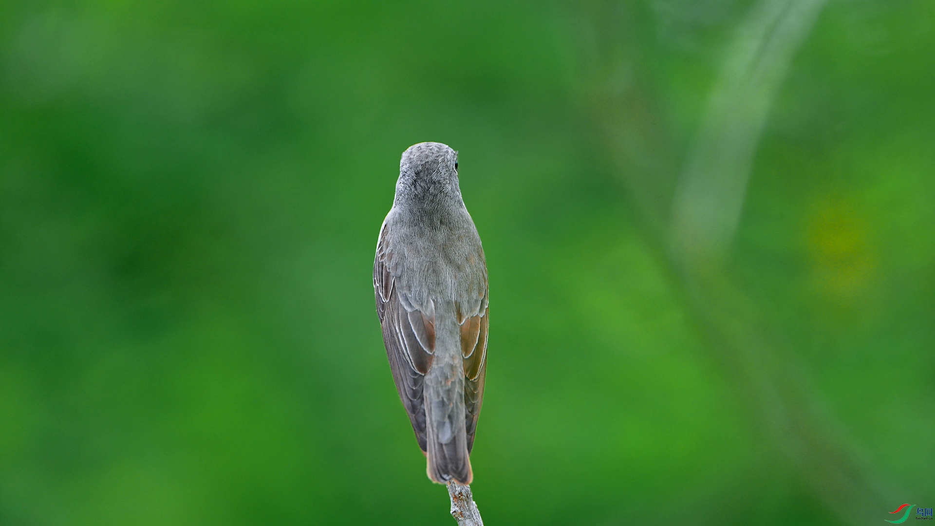DSC_3499.jpg
