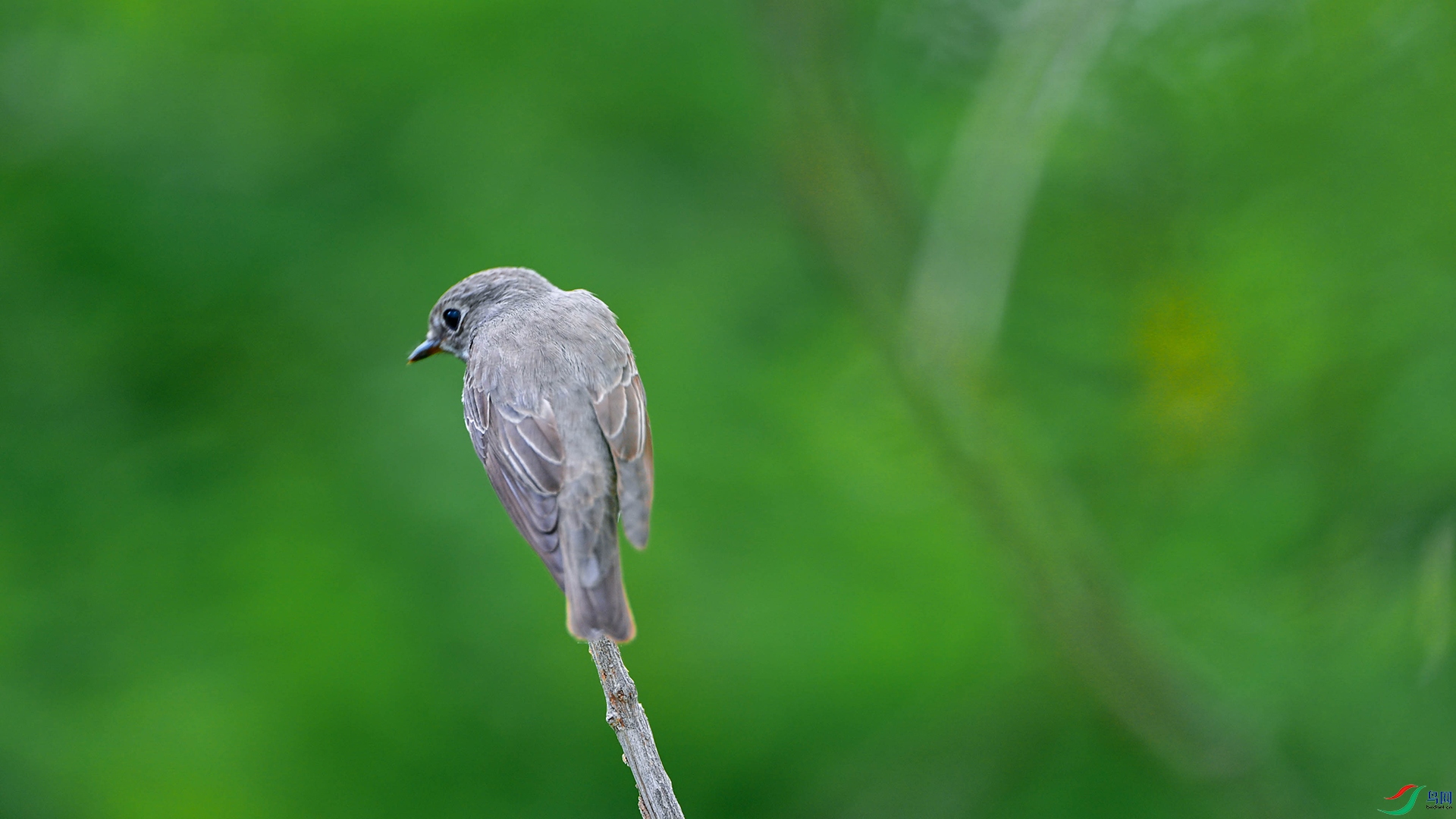 DSC_3563.jpg