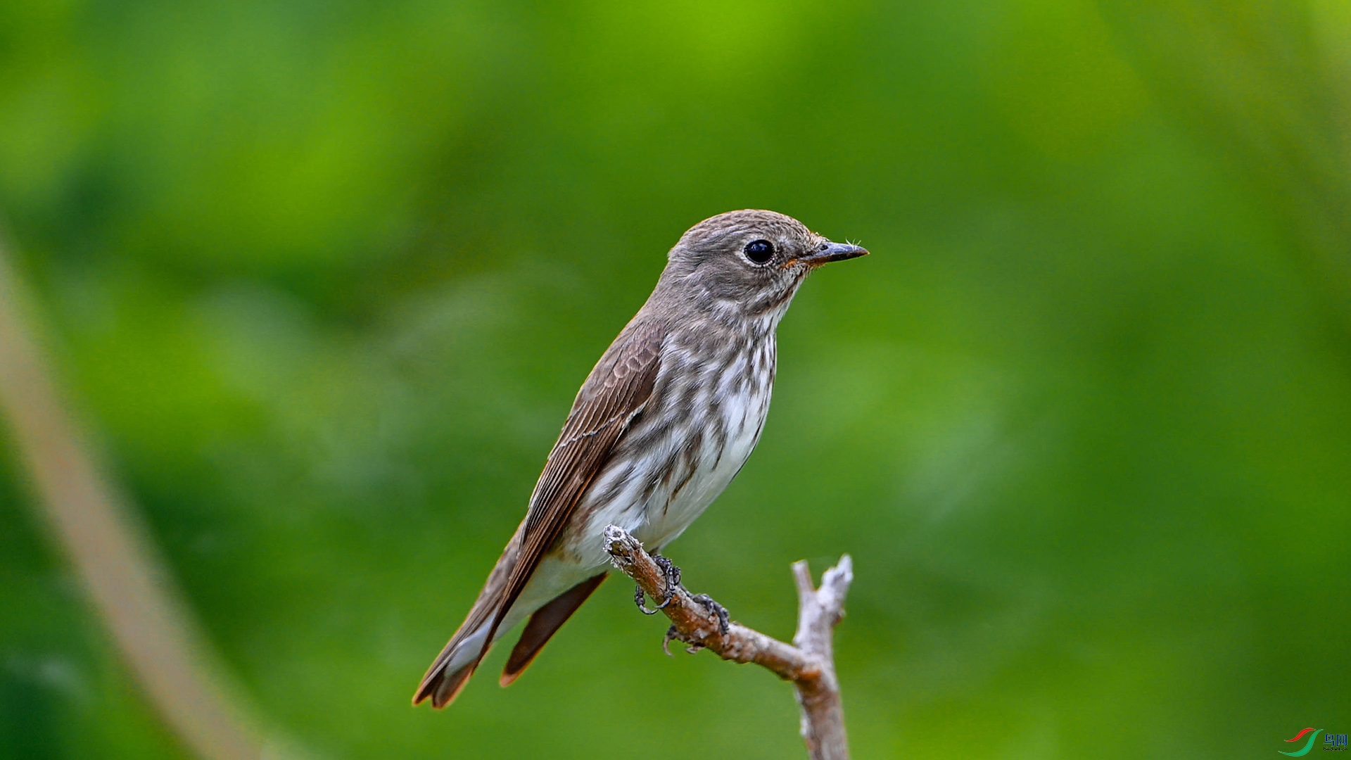 DSC_3778.jpg