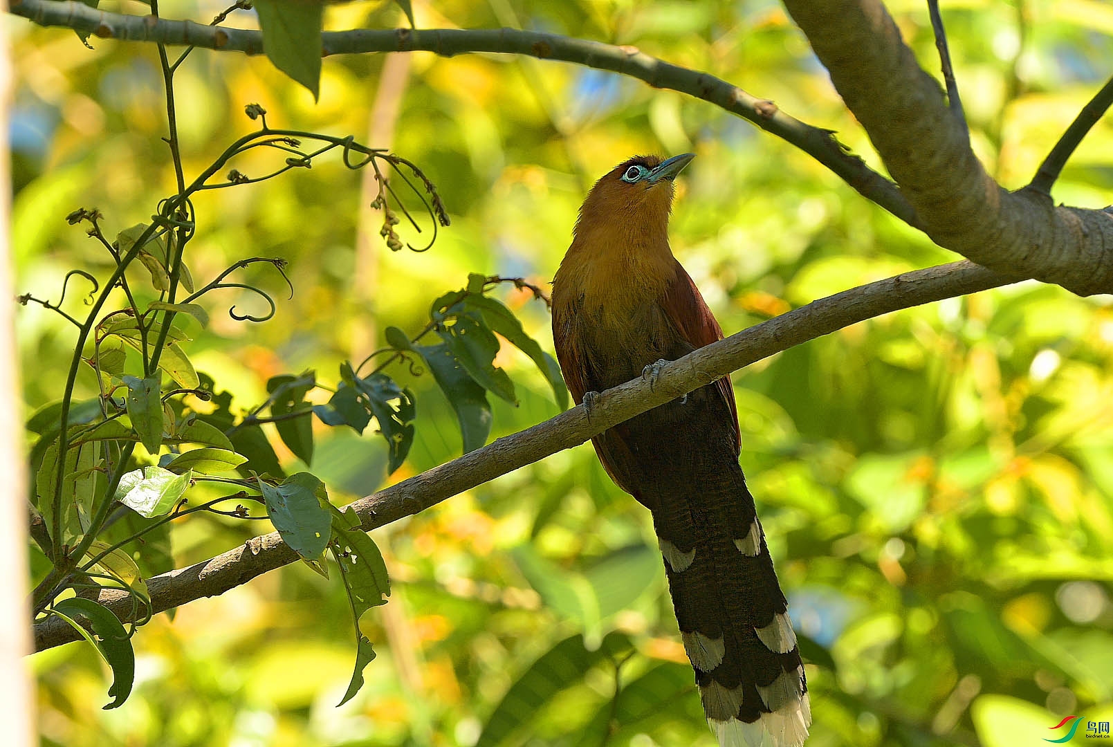 {F63F788C-76B8-4A06-8E98-0F24AD088954} ����.jpg