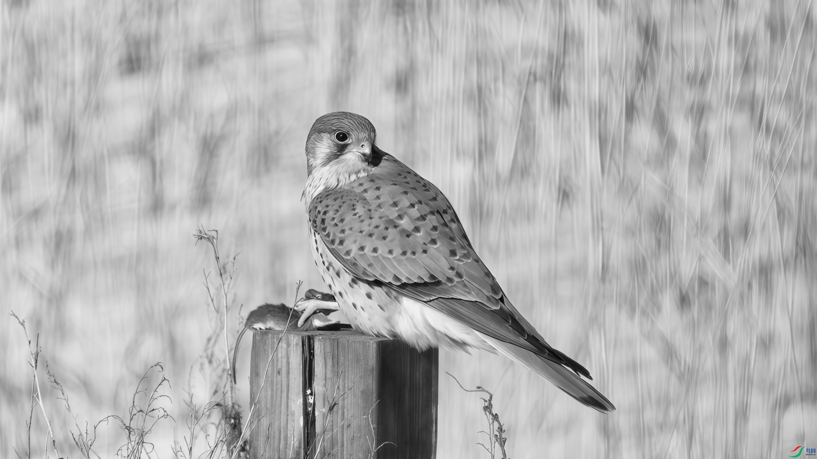 DSCN5894_���� (2)_����_����.jpg