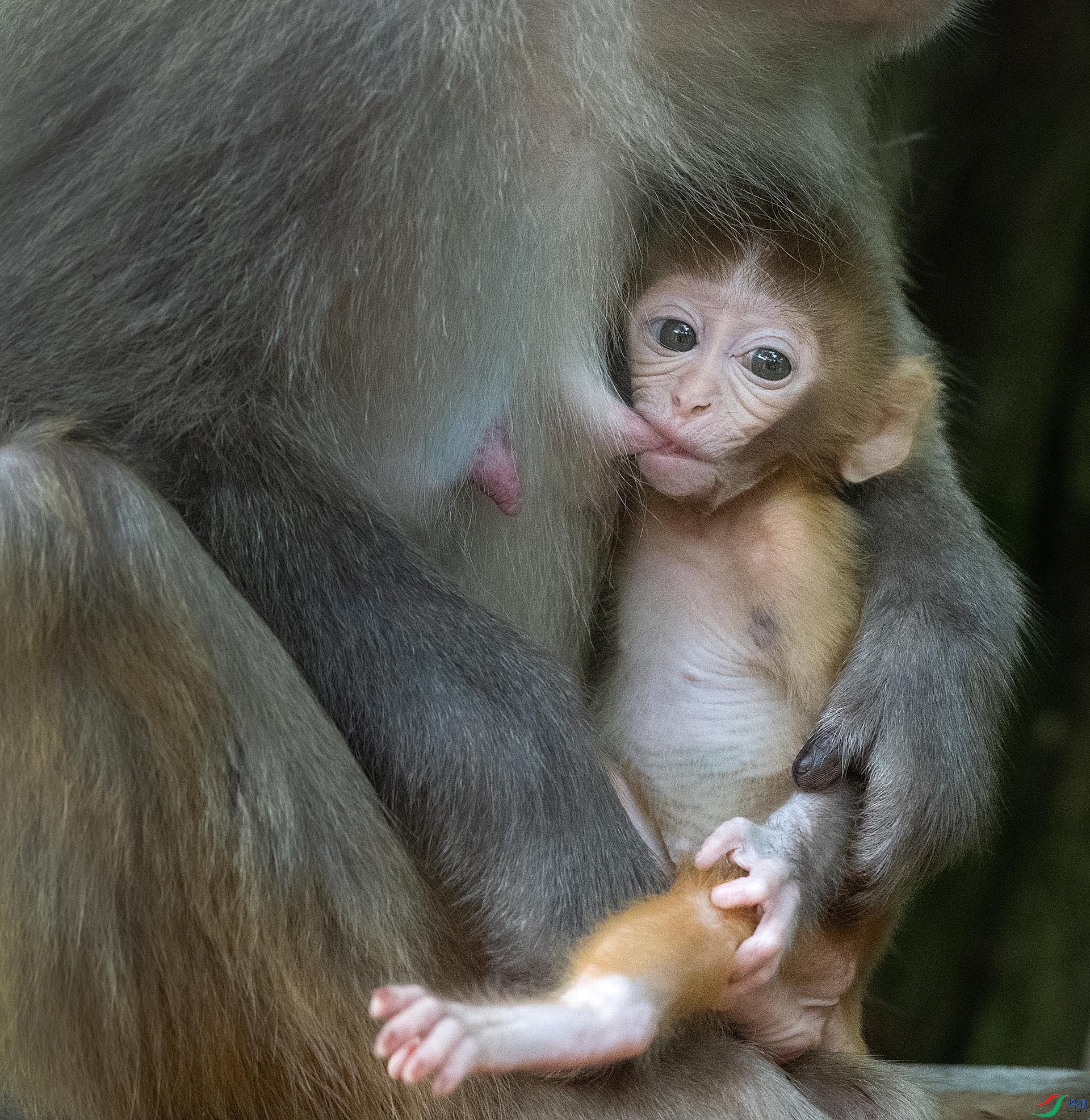 DSC_1277 ����.jpgz.jpg