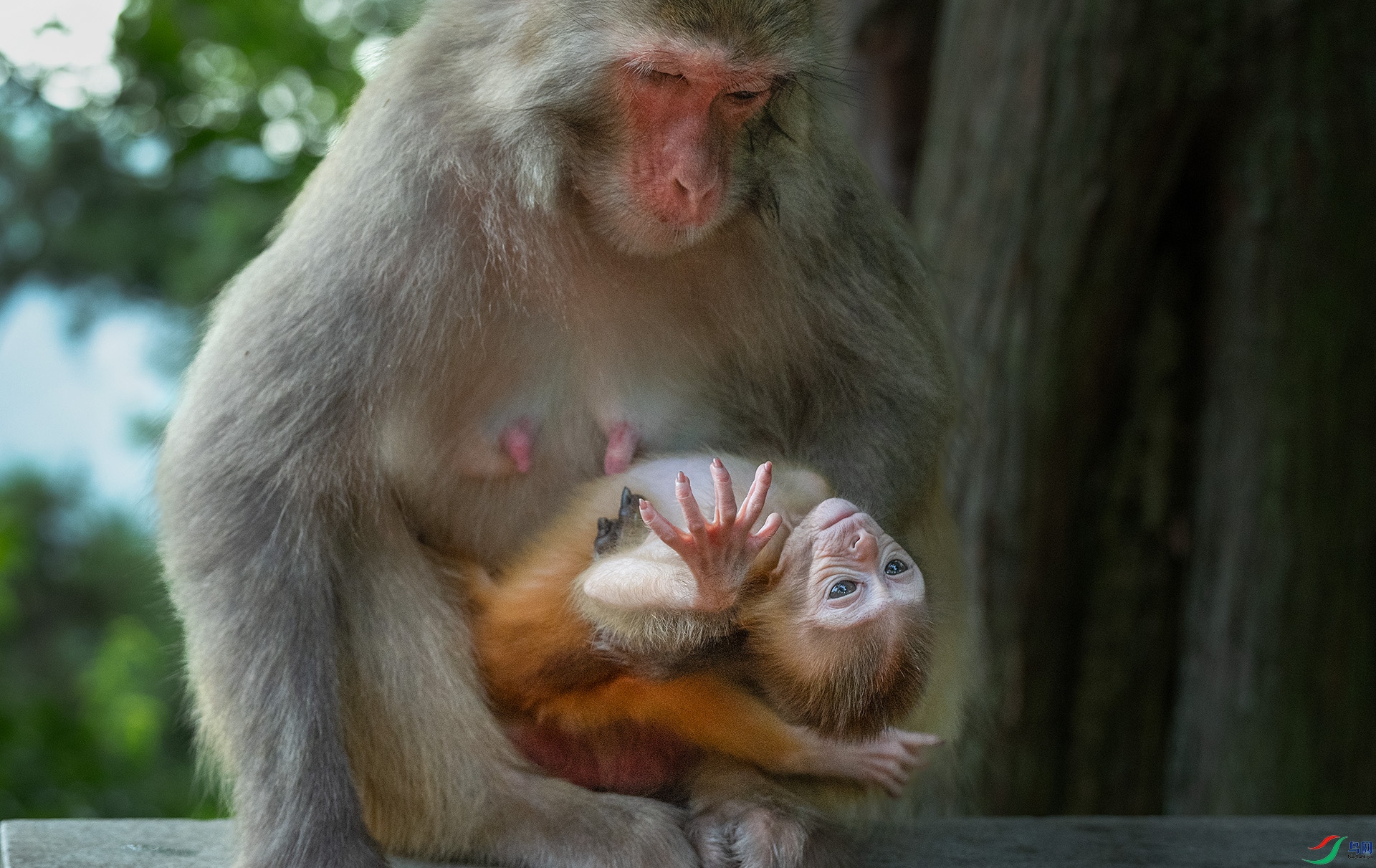 DSC_1324 ����.jpg