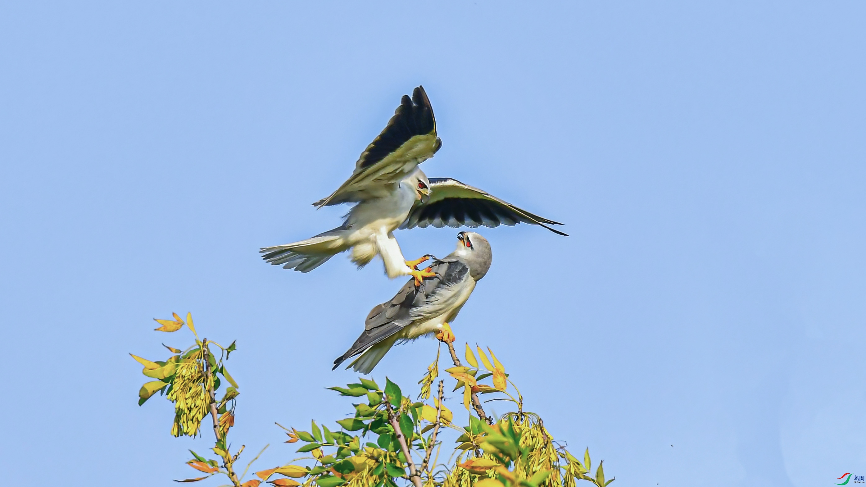 DSC_5348.jpg