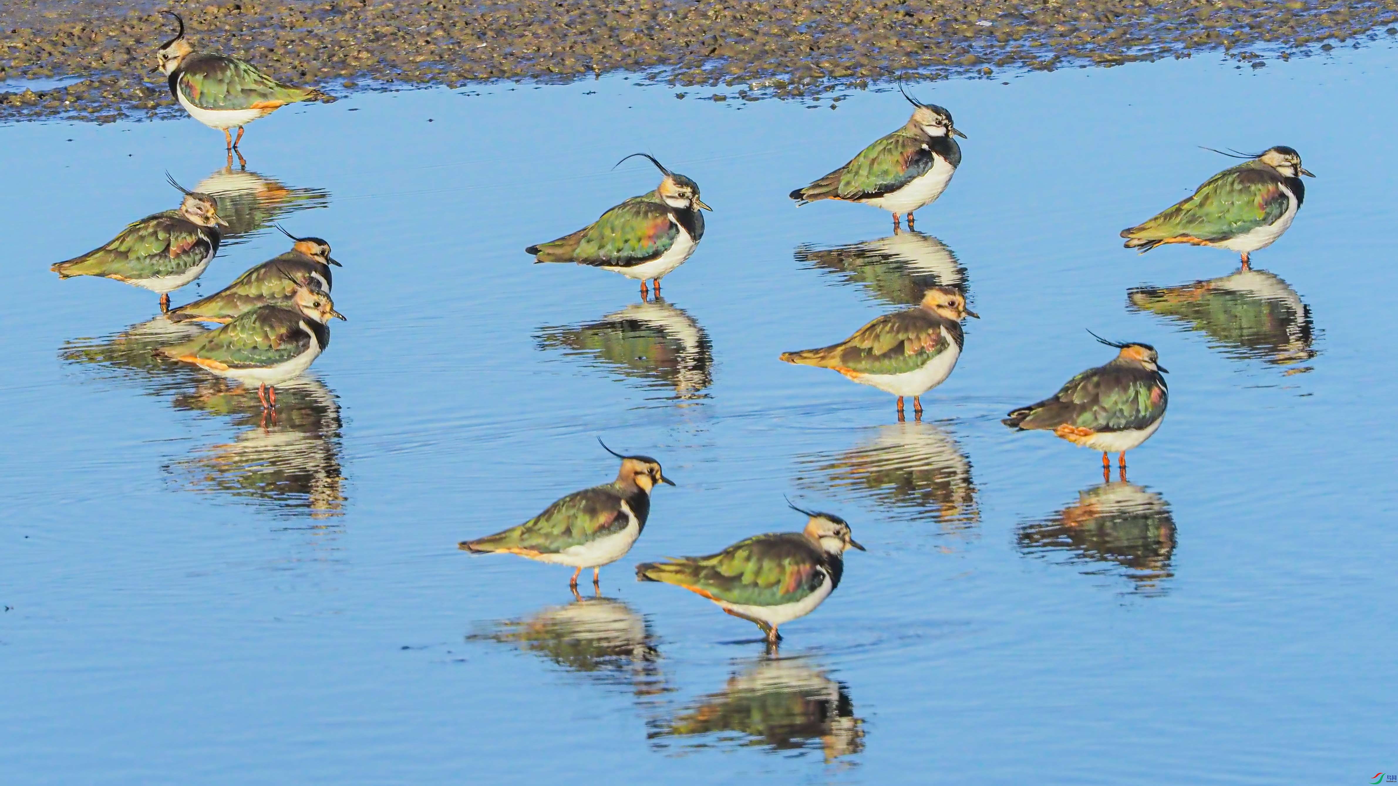 ������Ϣ