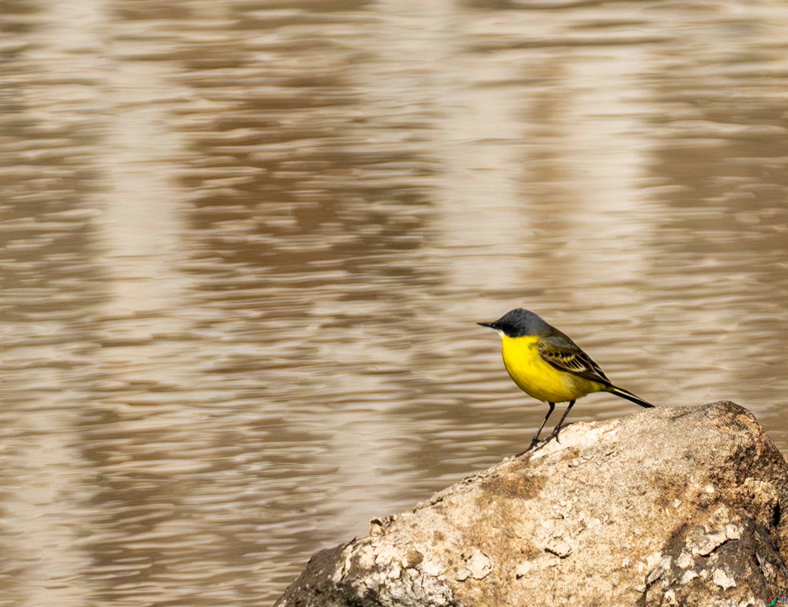 �����n�_ (2 - 12).jpg