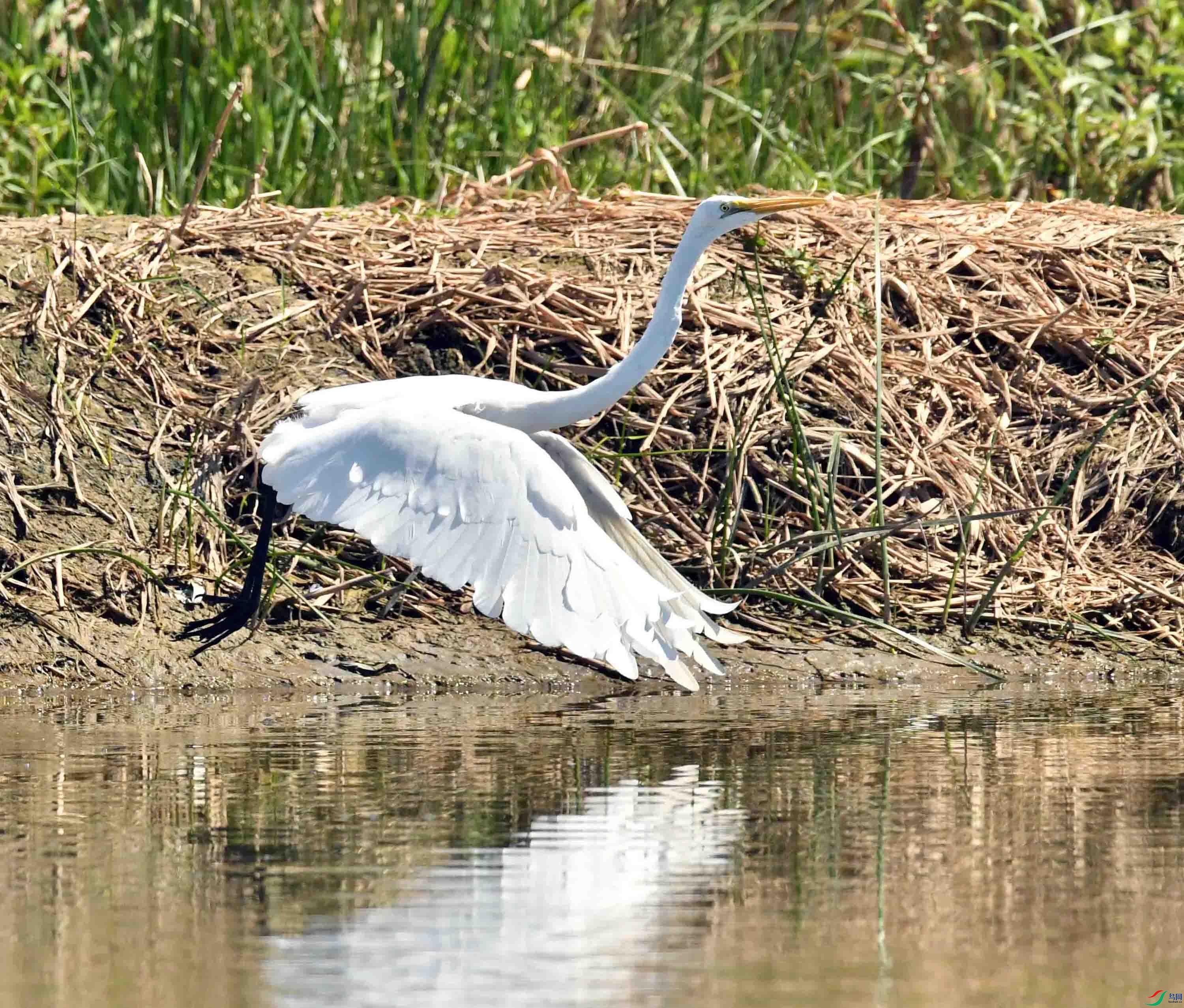 DSC_7992.JPG