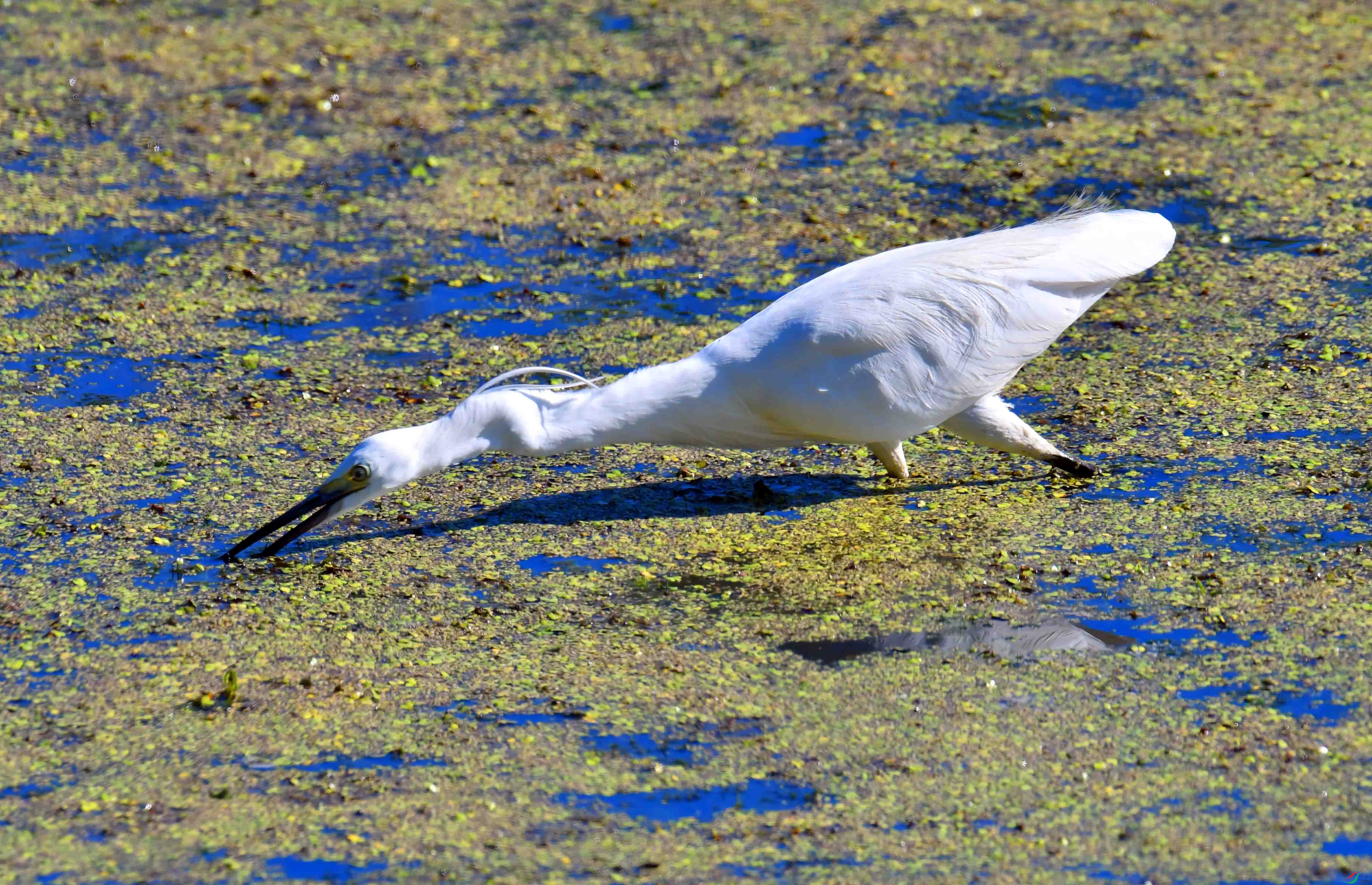DSC_8031.JPG