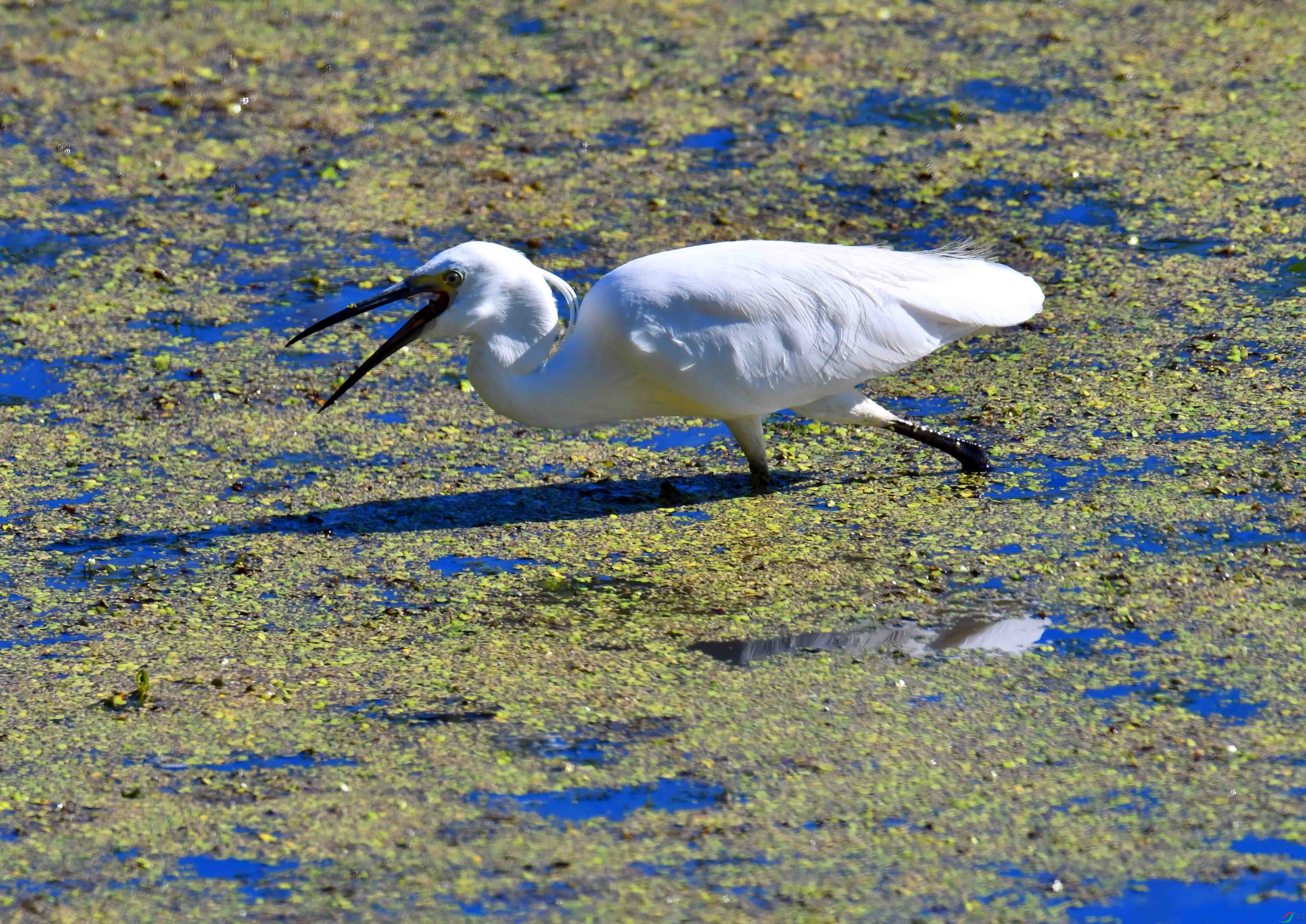 DSC_8034.JPG