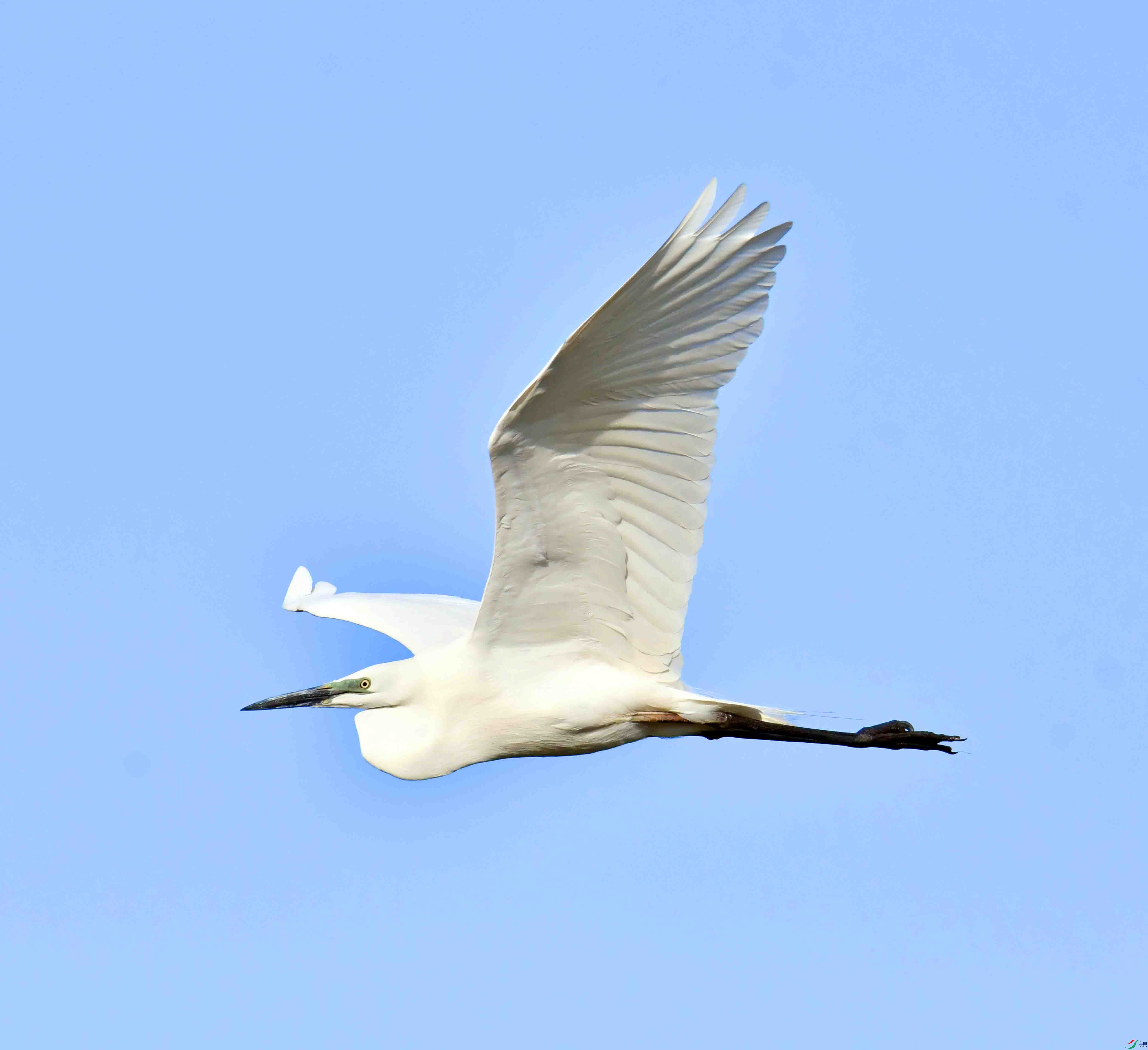 DSC_9784.JPG