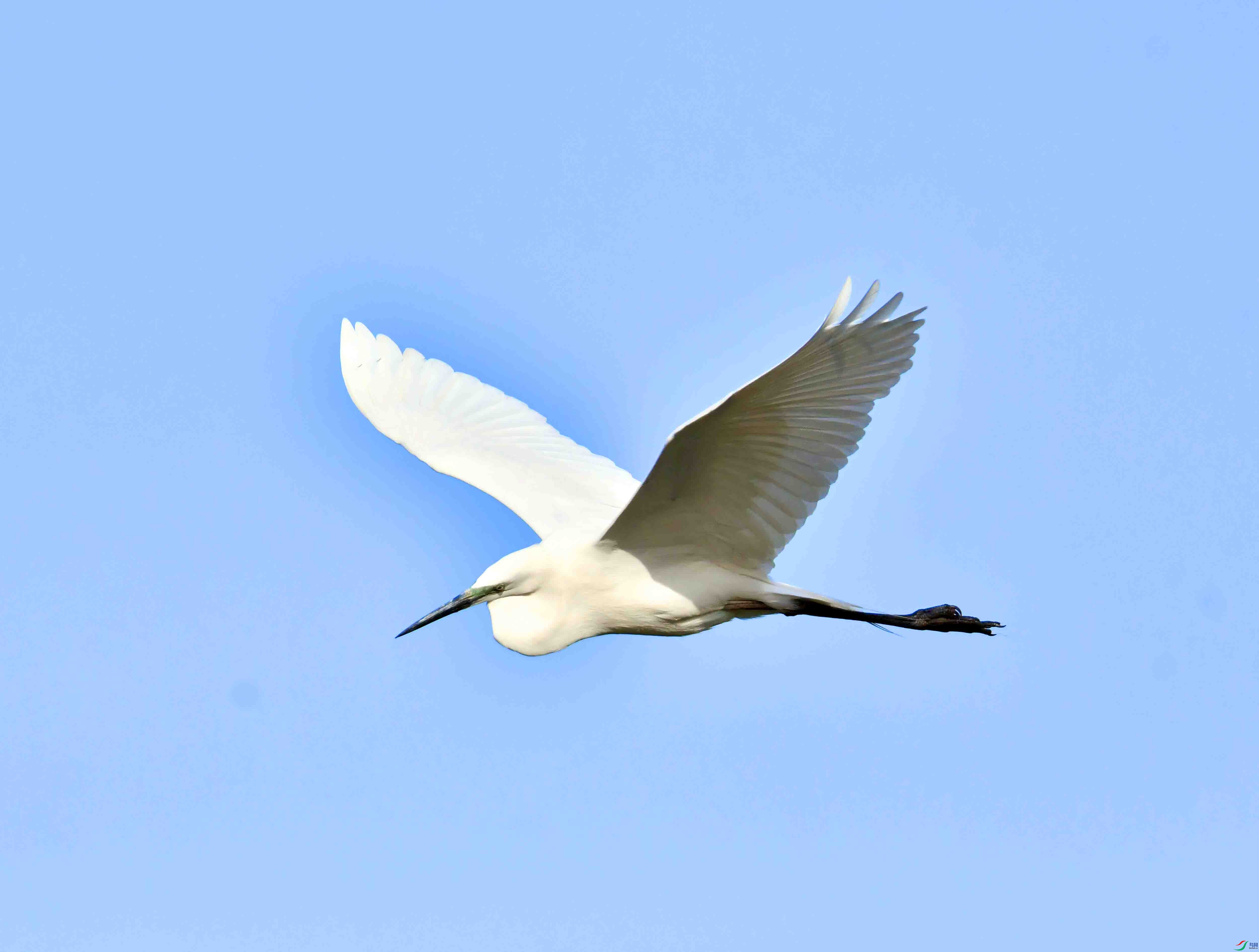 DSC_9782.JPG