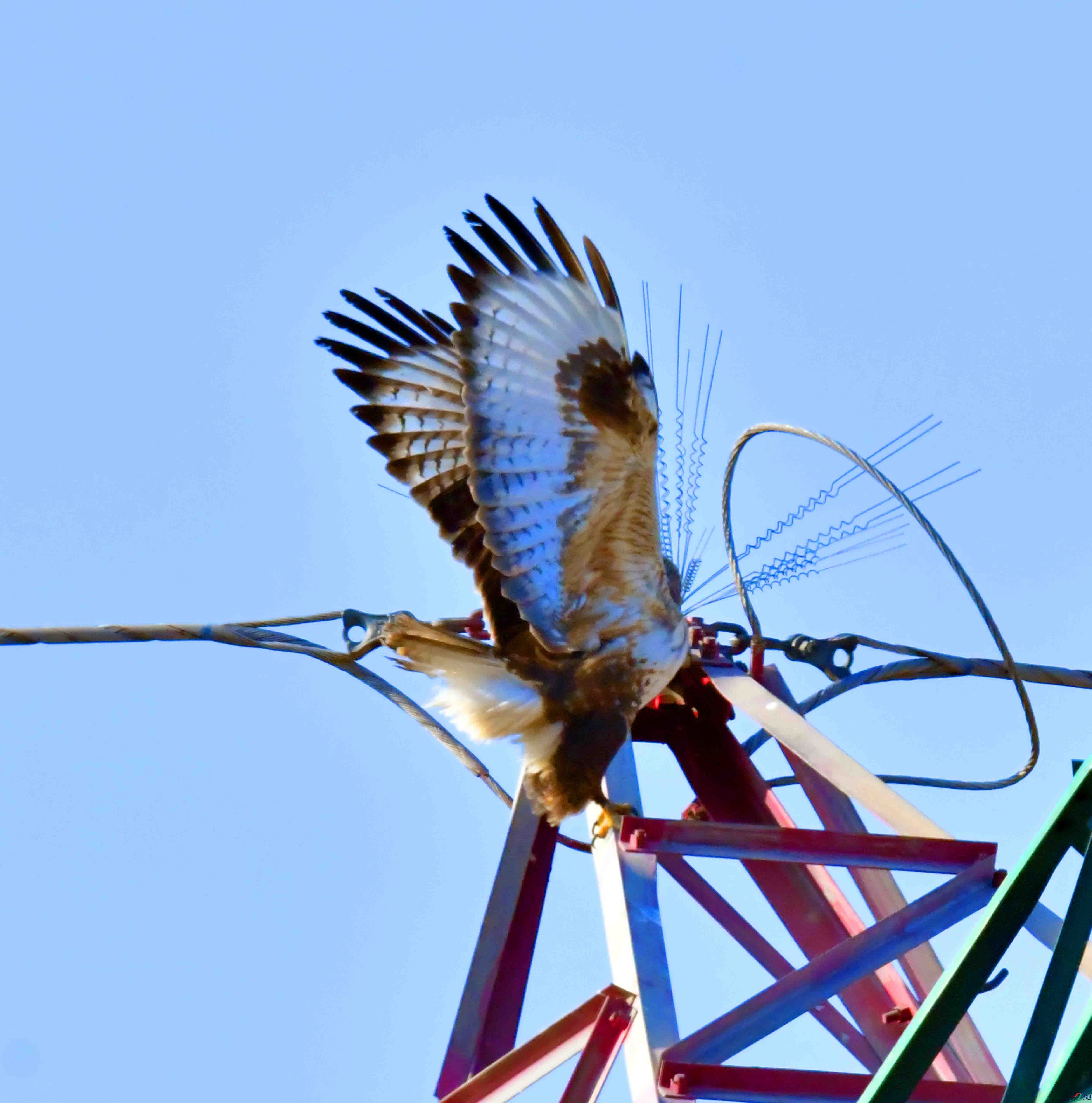 DSC_1455.JPG