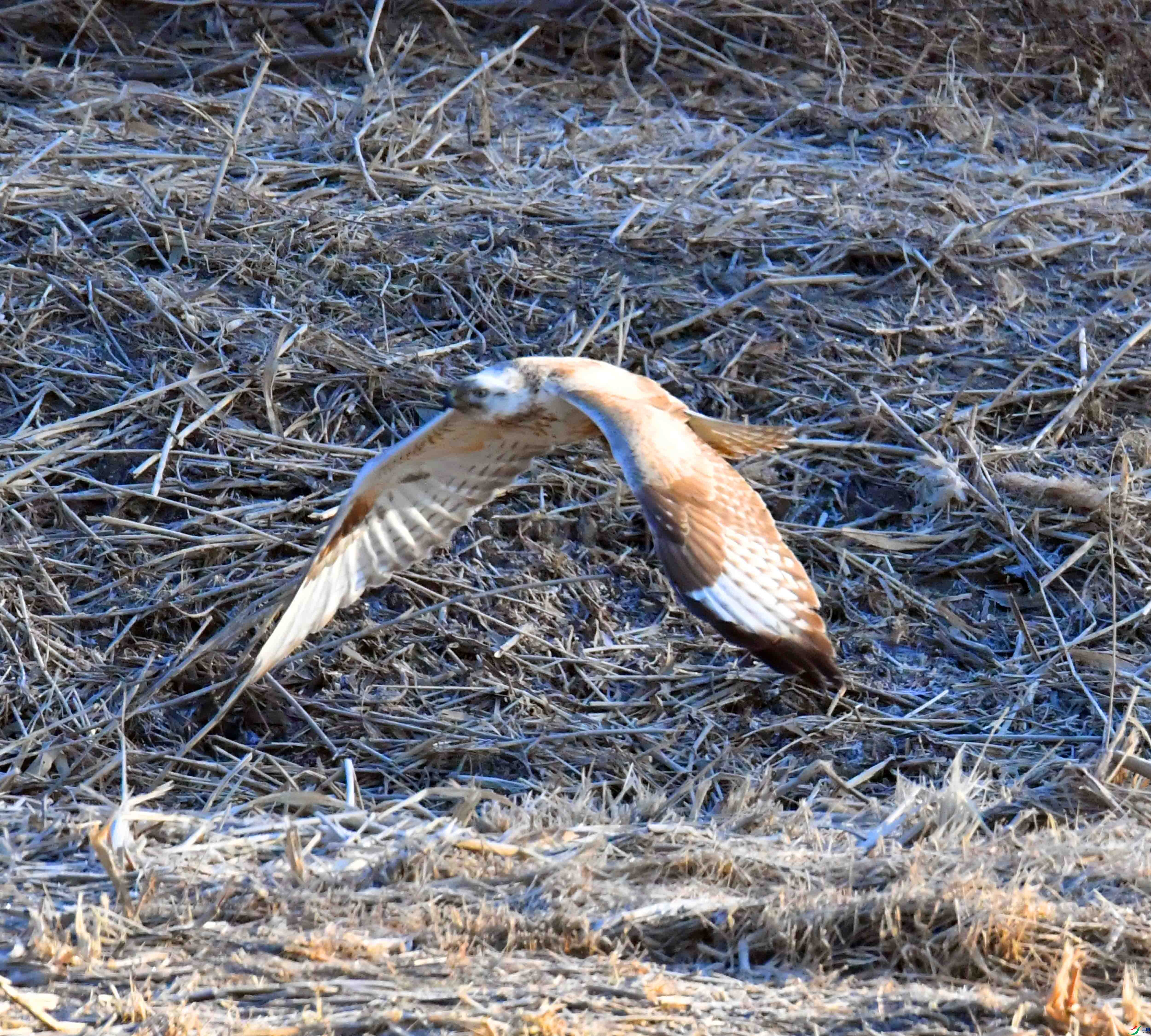 DSC_8956.JPG