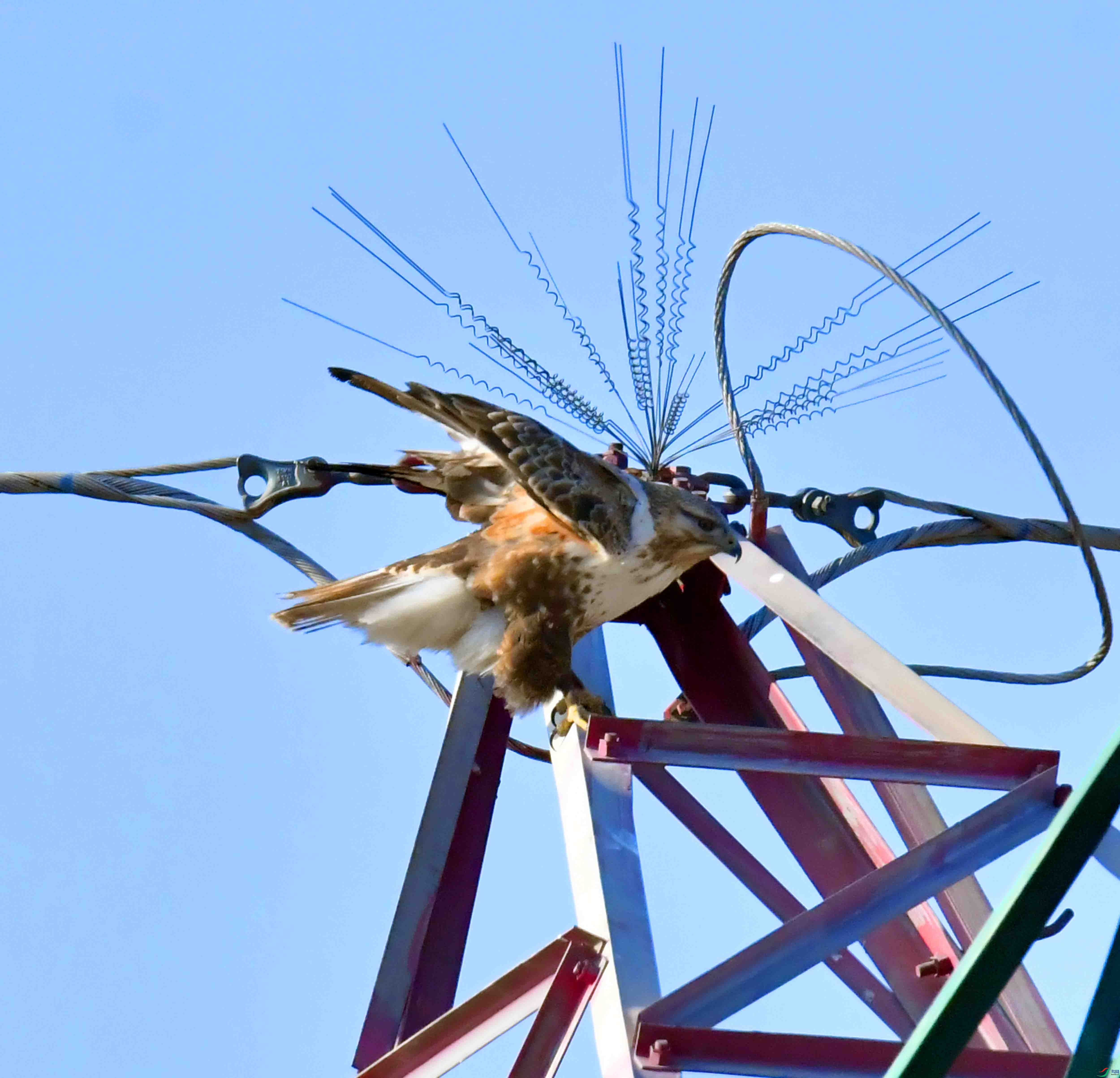 DSC_1454.JPG
